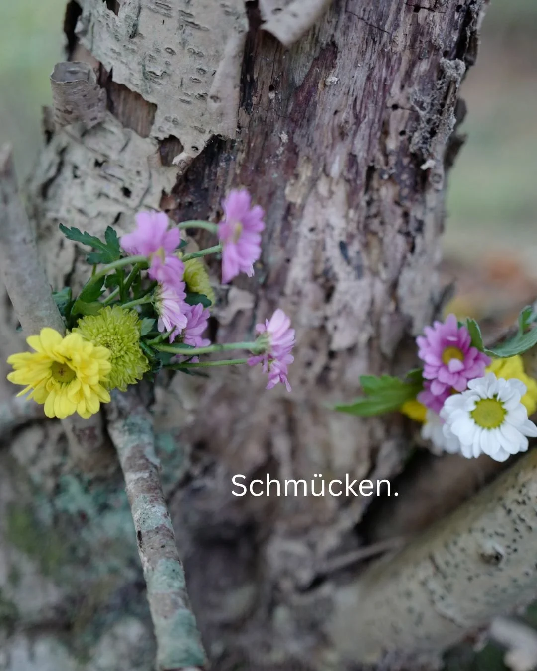Bunte Blumen, die an einer Baumrinde befestigt sind, darunter gelbe, rosa, weiße und lila Blumen. Das Wort 'Schmücken' ist darüber geschrieben.