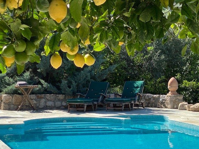 YogaFriendRetreatAndalusienGardenOfLemons_08.jpg