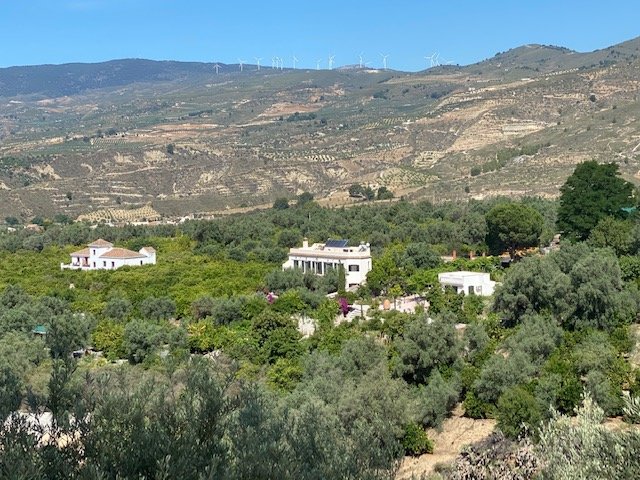 YogaFriendRetreatAndalusienGardenOfLemons_09.jpg