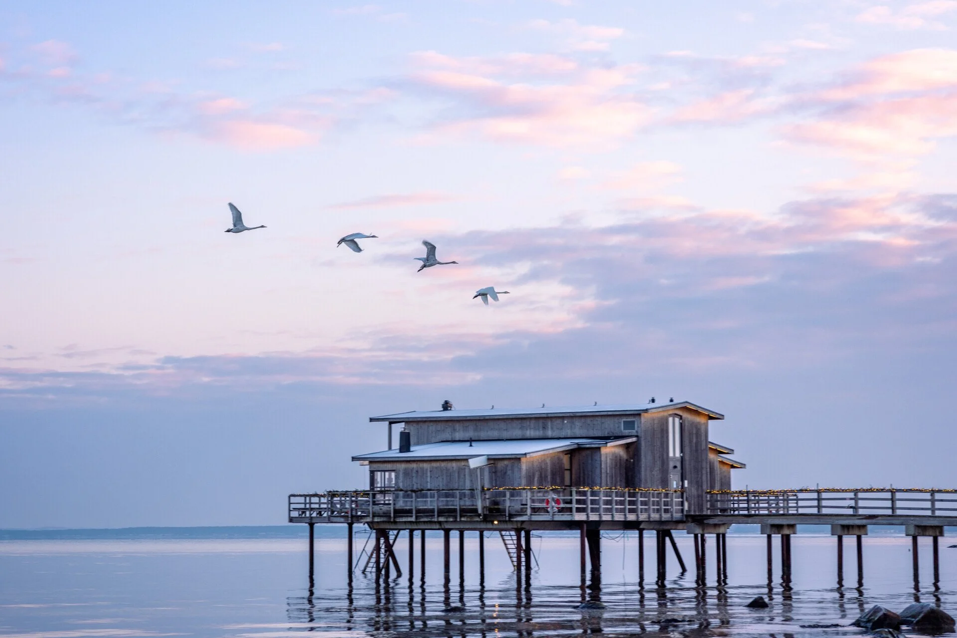 Billede af: Anders Karolyi