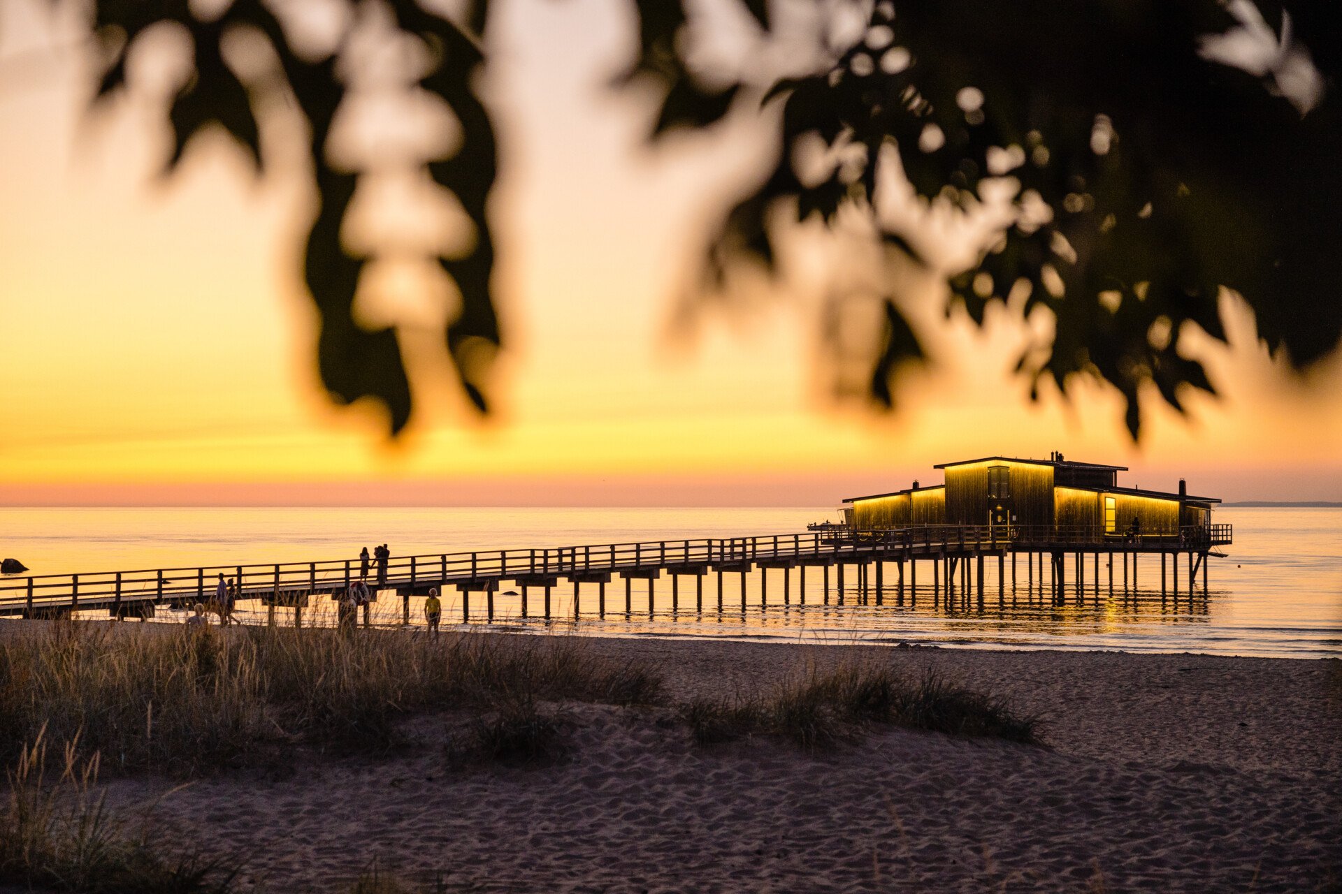 Billede af: Anders Karolyi