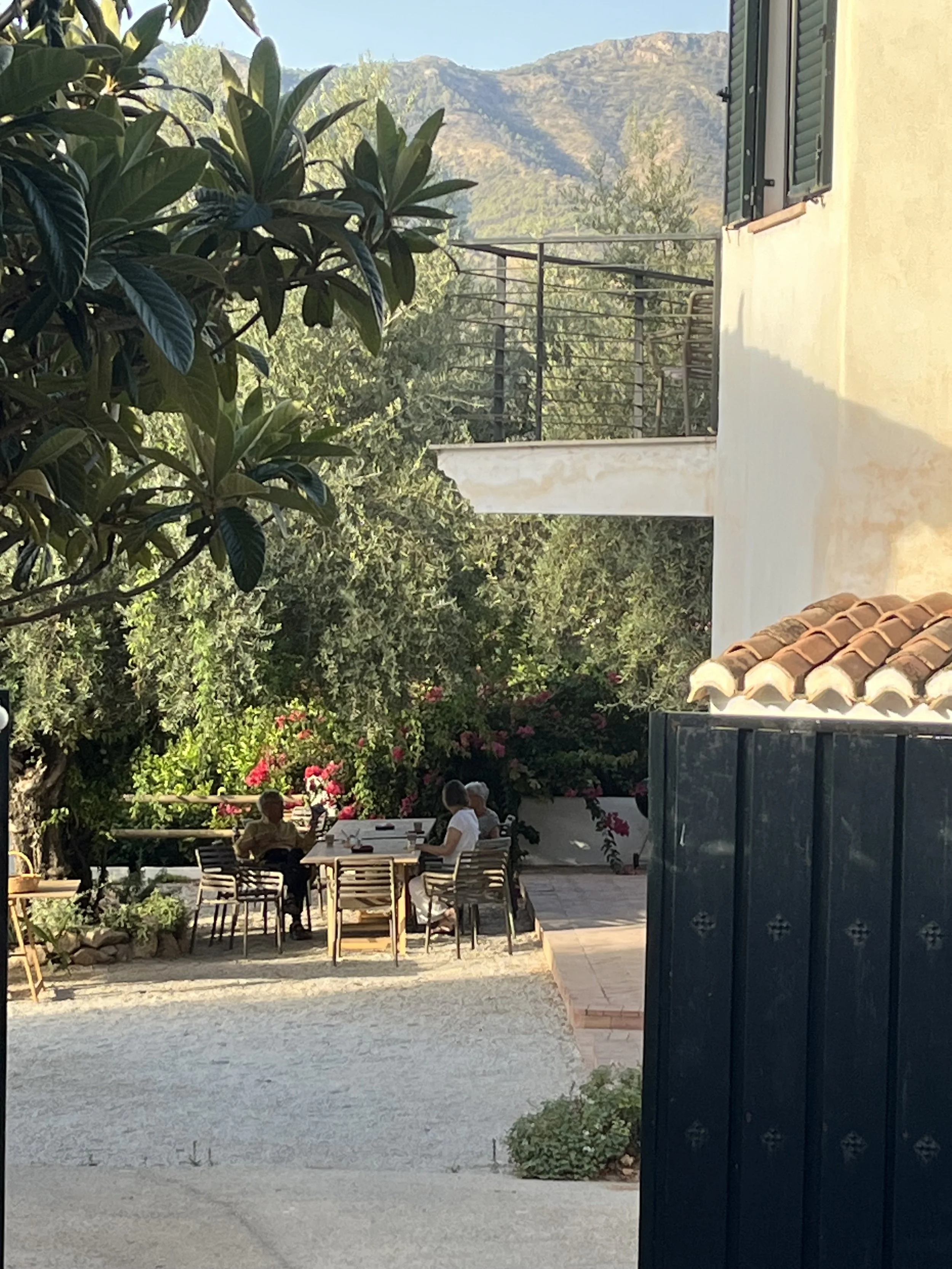 IMG_1109.jpeg