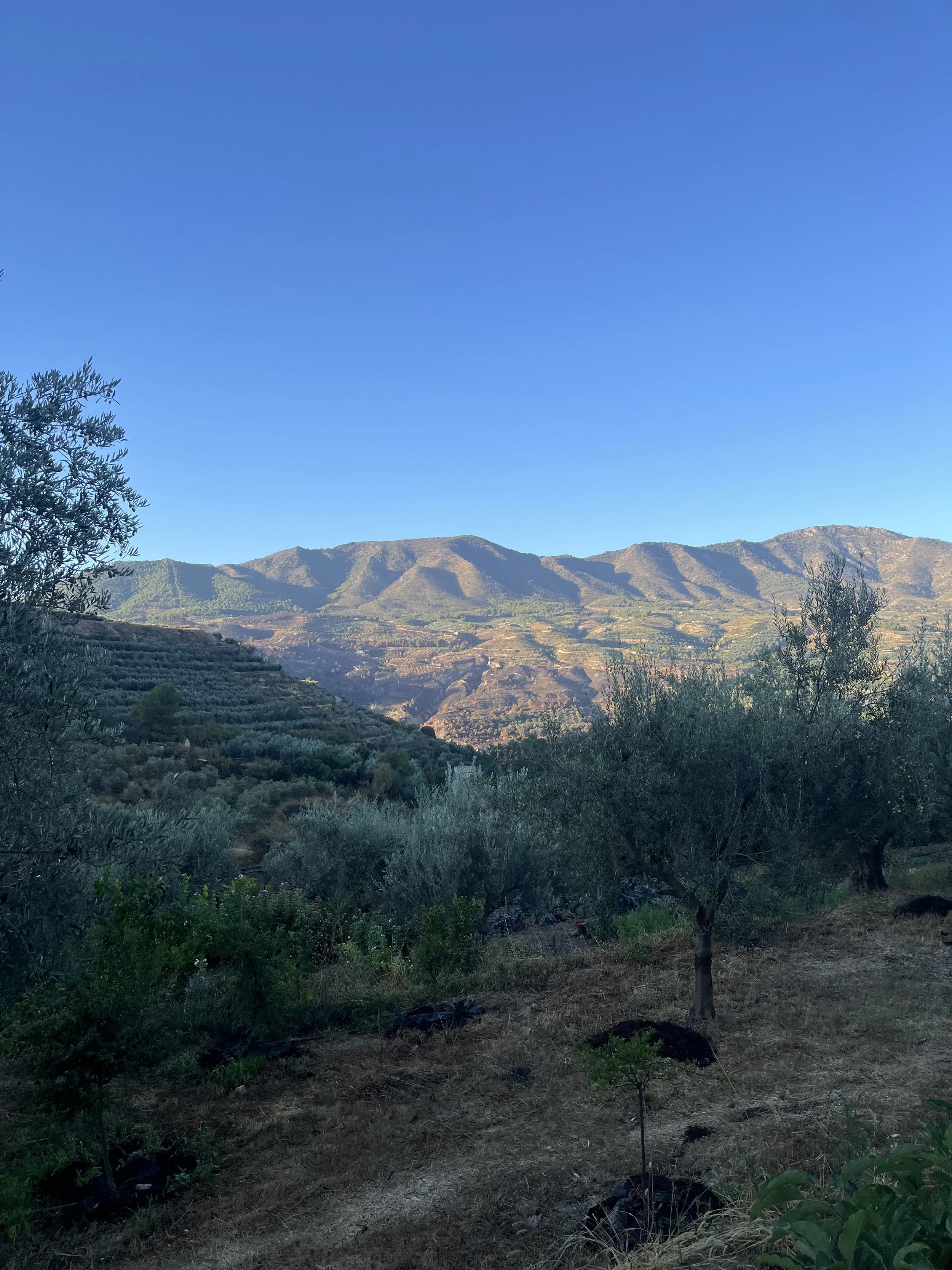 IMG_1261 (1).jpeg