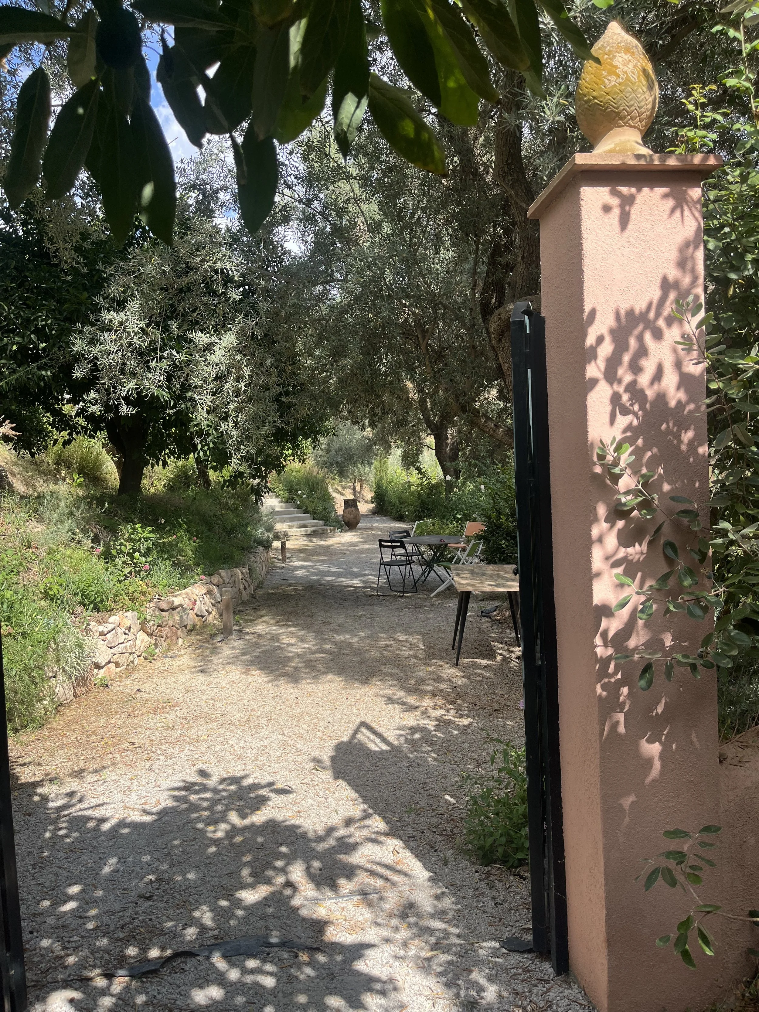 IMG_1233.jpeg