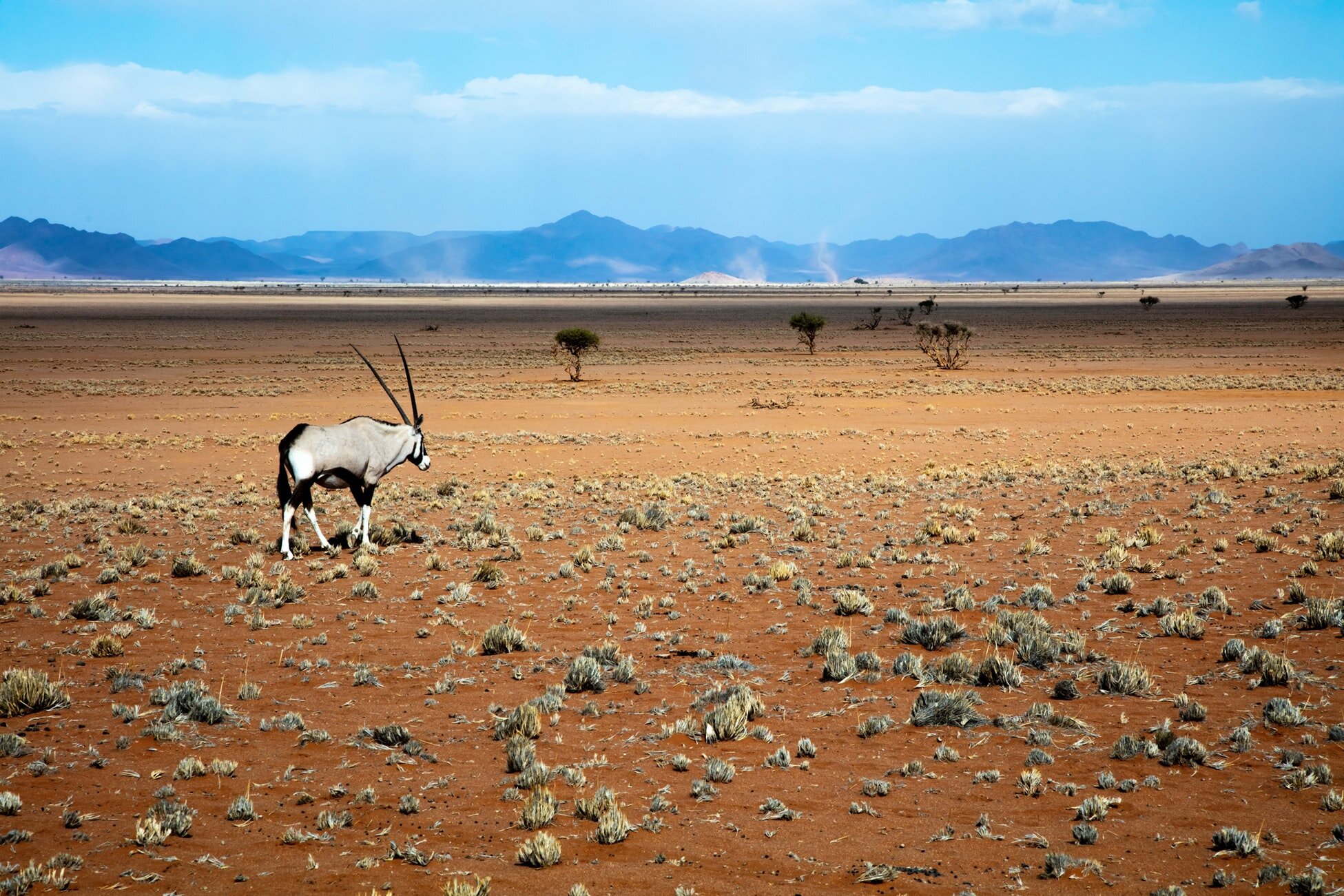 namib-desert