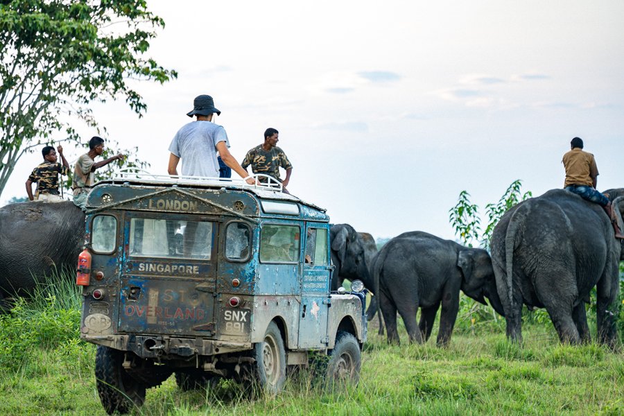 Nat on top of Oxford behind the Elephant escort in the Kaziranga National Park, India .jpg