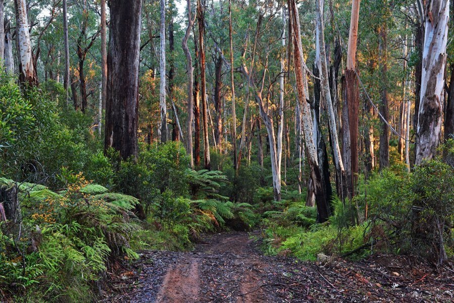 Photo Eurobodalla Coast Tourism