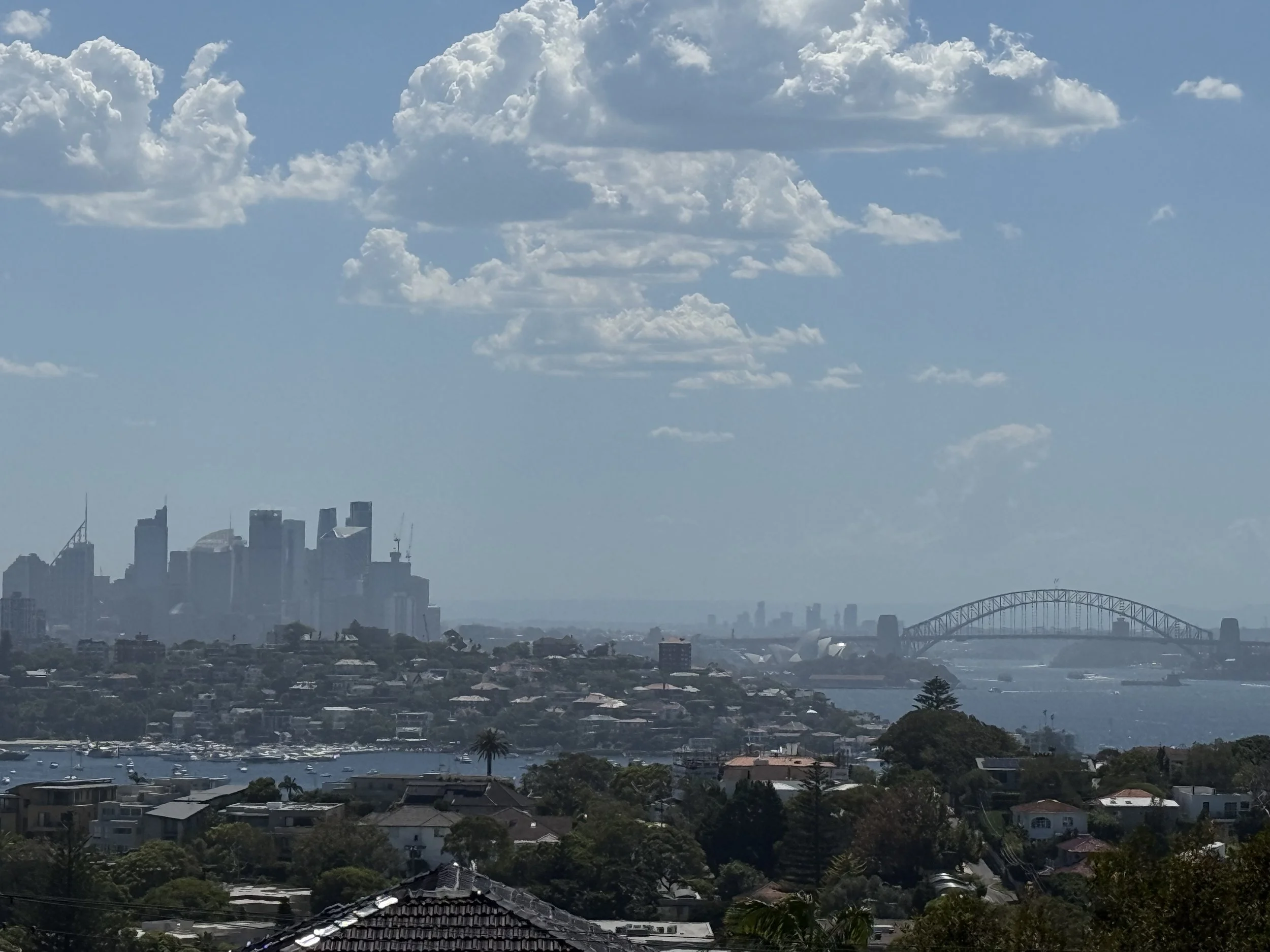 Military Road Dudley Page Reserve view to Sydney c Mel Nichols.jpeg
