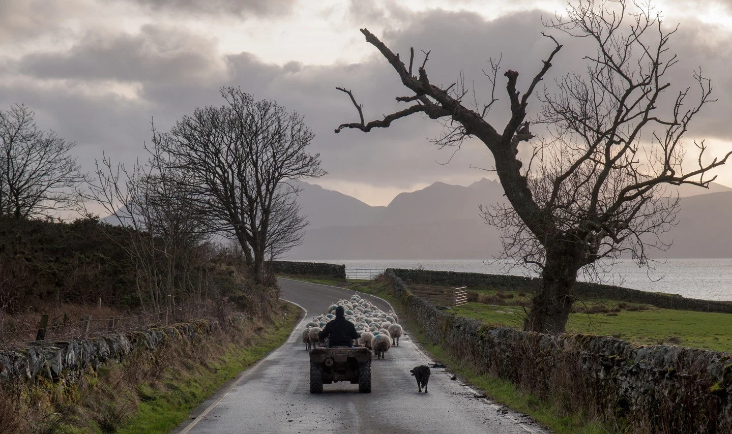 For a solitary #sundaydrive pay a visit to the Isle of Bute 🏴 where you'll find the emptiest road in Britain.
Latest traffic statistics reveal that the Isle's A844 has the least traffic of any major A-road in the UK. On this stunning