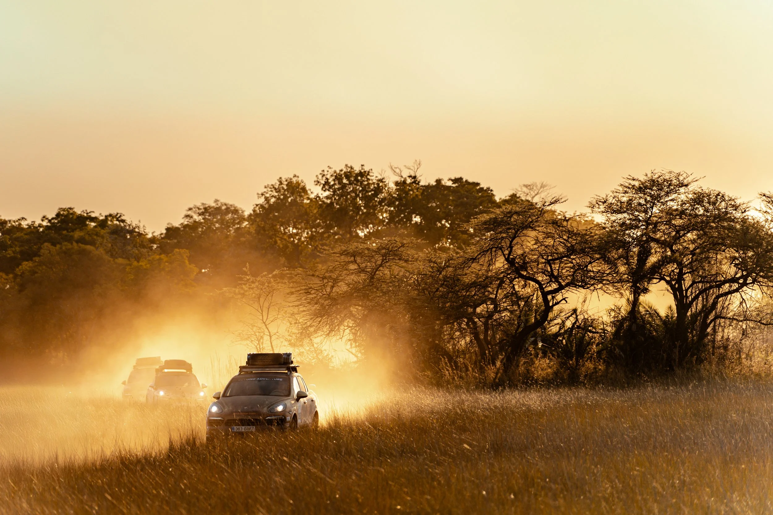 11_6_Angola Elephants--6_edit_HR.jpg