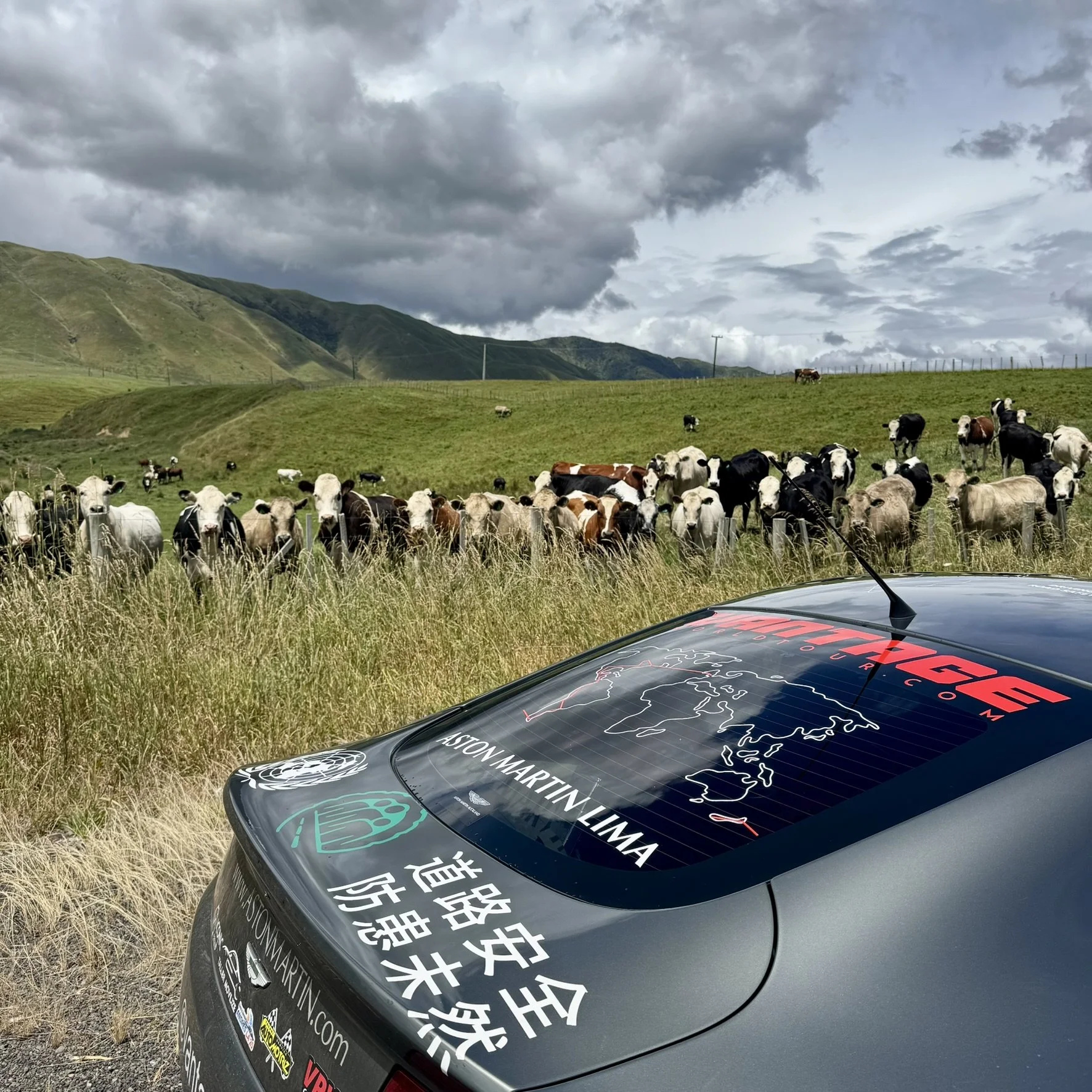 03 Locals Loving the Aston.JPEG