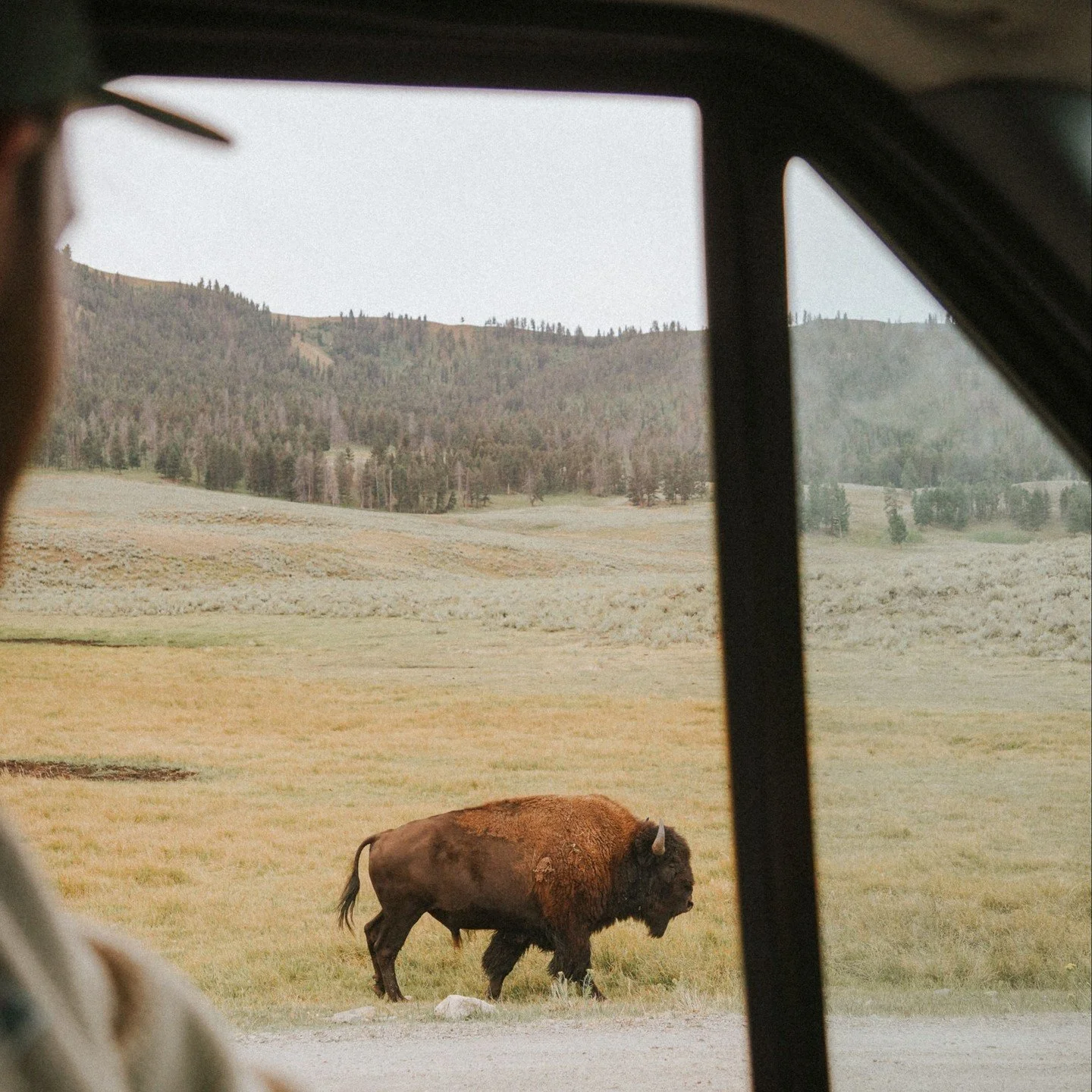 Taking a mobile home to where the buffalo roam on a #sundaydrive through Wyoming 🇺🇸⁠
⁠
The Chief Joseph Scenic Byway takes you beyond the historical frontier and deep into the heart of the Wild West, offering a glimpse into a bygone era.⁠
⁠
Discove