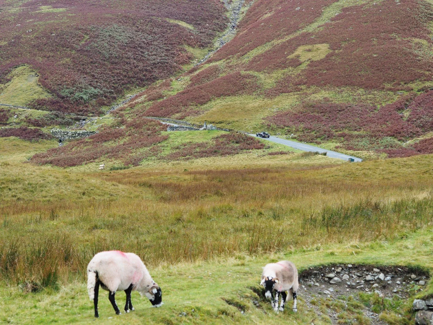Honister Pass begins just a few miles south of Keswick, in the hamlet of Seatoller. As the pass begins you&rsquo;ll find that the B5289 is extremely narrow, rutted and steep as you make your initial ascent through the trees and high, fern-packed bank