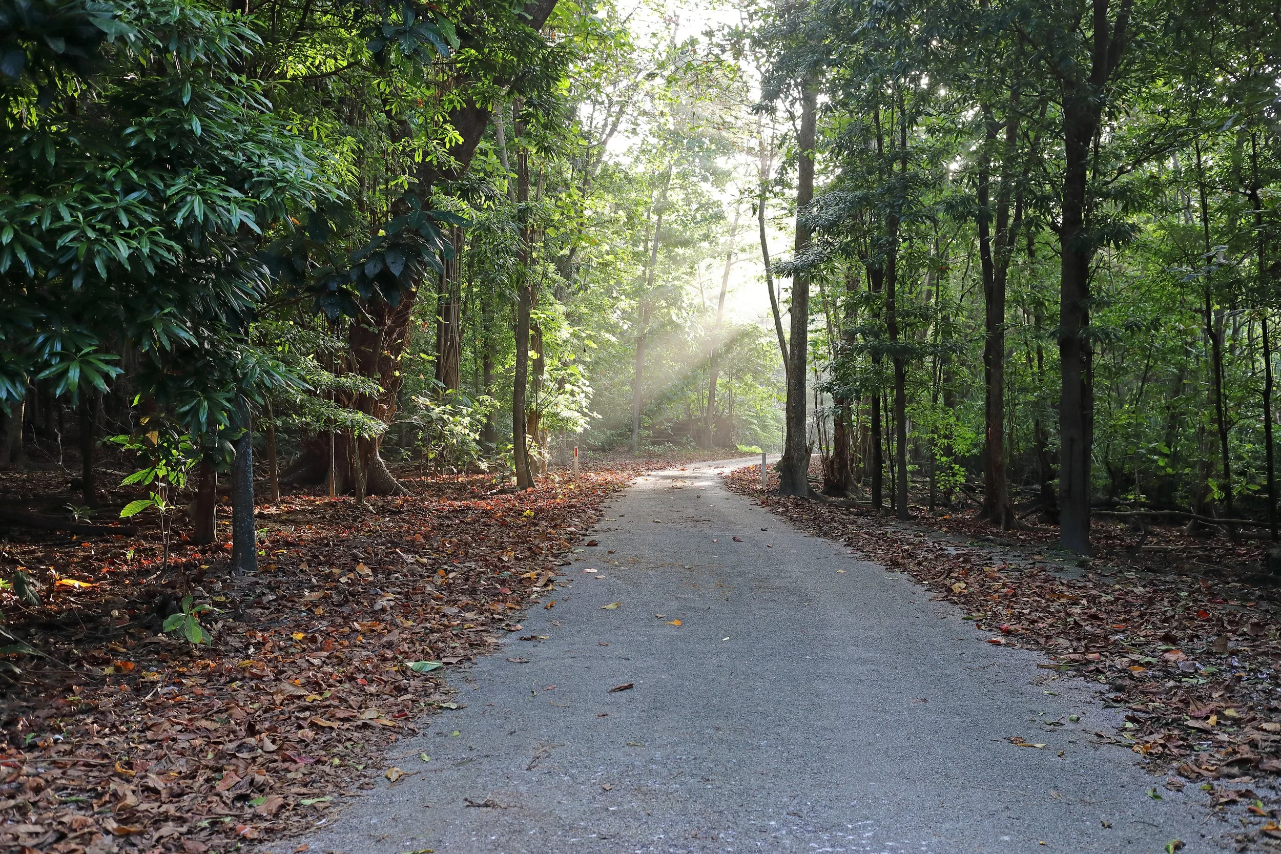 Detour #331: Criss-Crossing Christmas Island, Australia