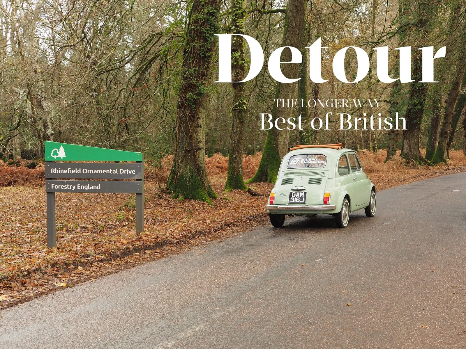 Fiat 500 in the New Forest
