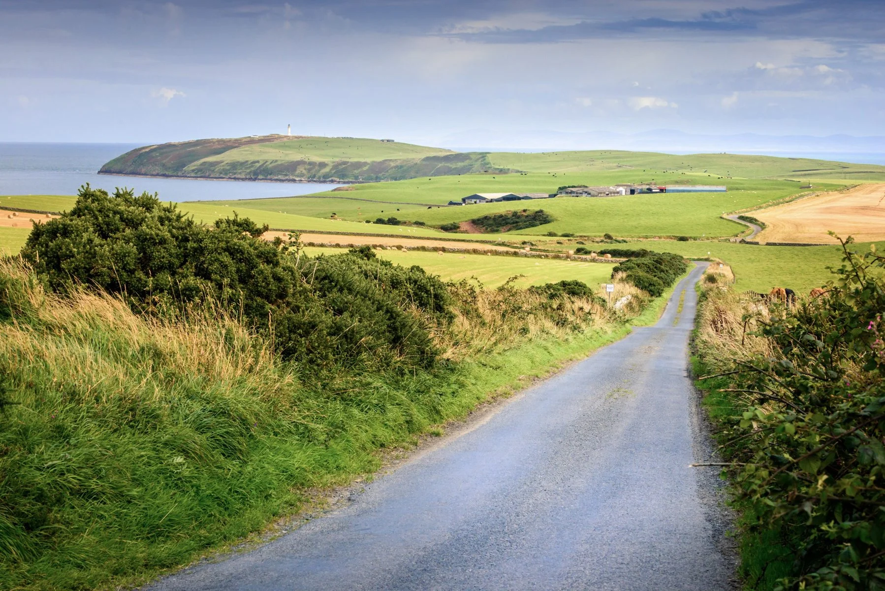 7 Coast Roads To Cruise This Summer