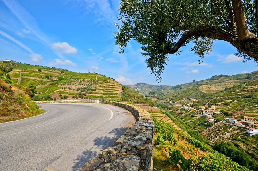 Detour #173: Is the N22 in Portugal really the world's best road?