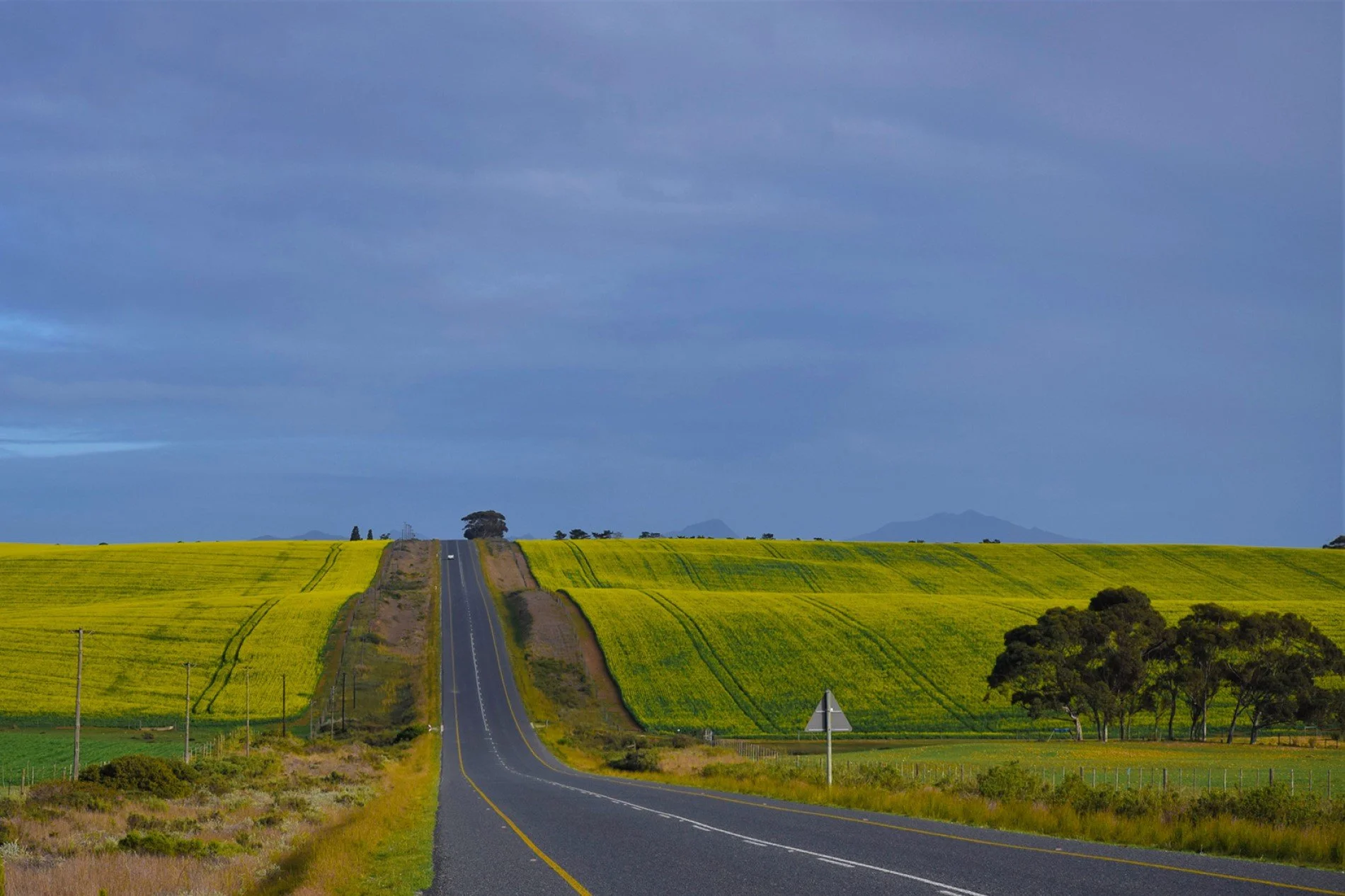 road to Cape Agulhas South Africa