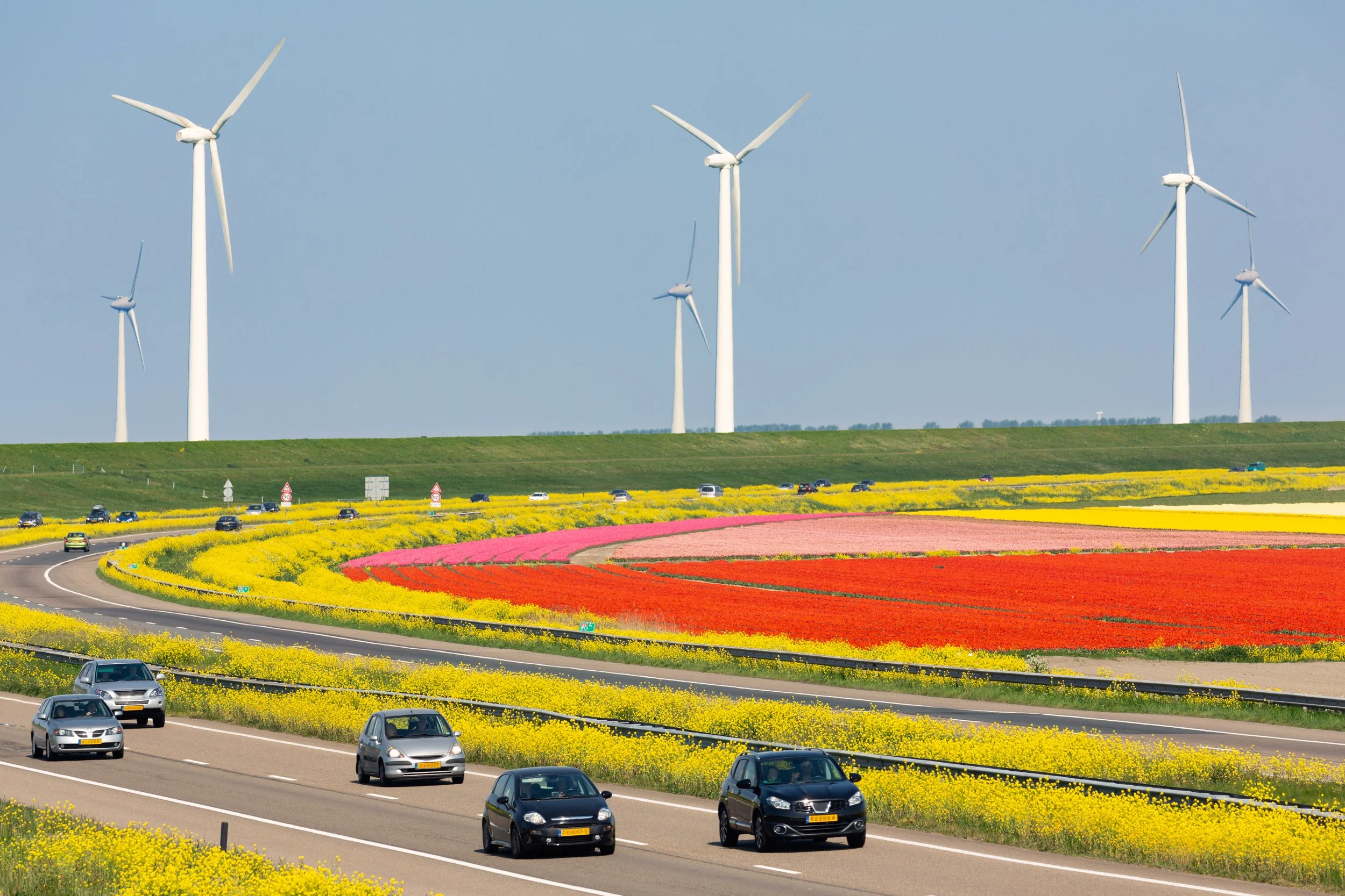 Tulip Route Netherlands