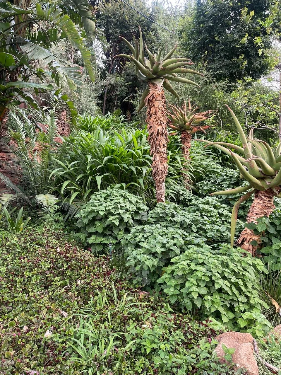 WhatsApp Image 2025-11-09 at 15.41.10_44cfe45f.jpg