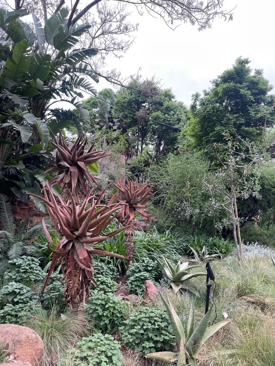 WhatsApp Image 2025-11-09 at 15.41.37_72e20b9a.jpg