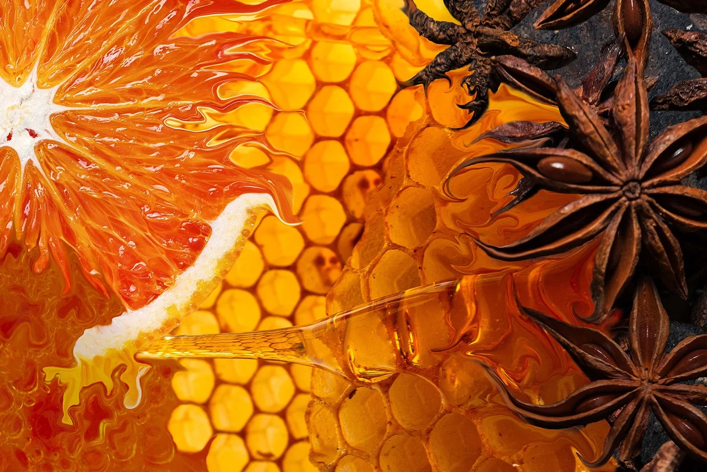 Highland Park - 'A Wild Harmony Is Made'