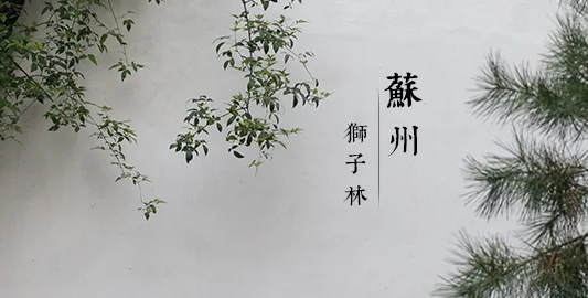 Suzhou, Lion Grove Garden - 苏州狮子林