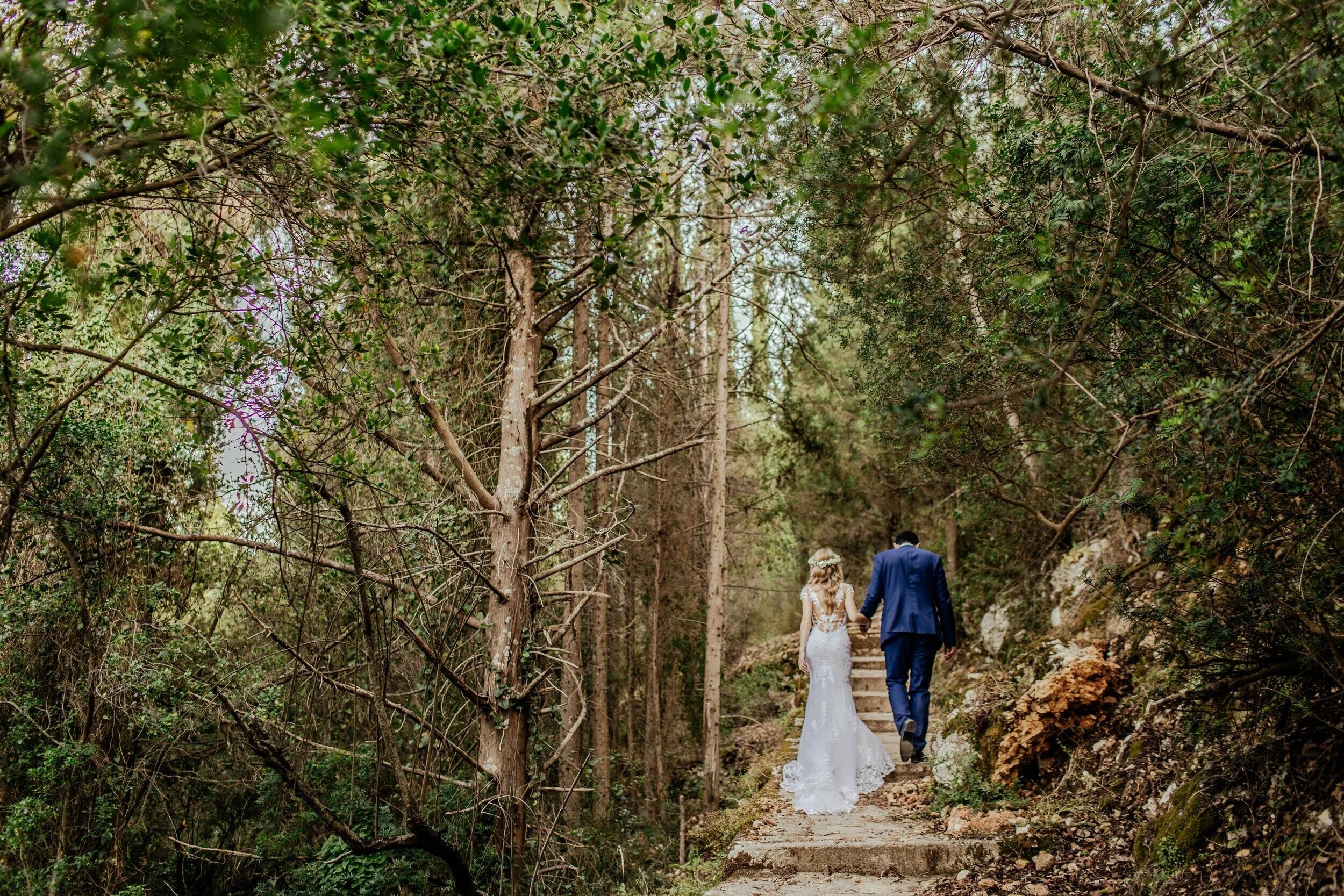 Elope in a park 