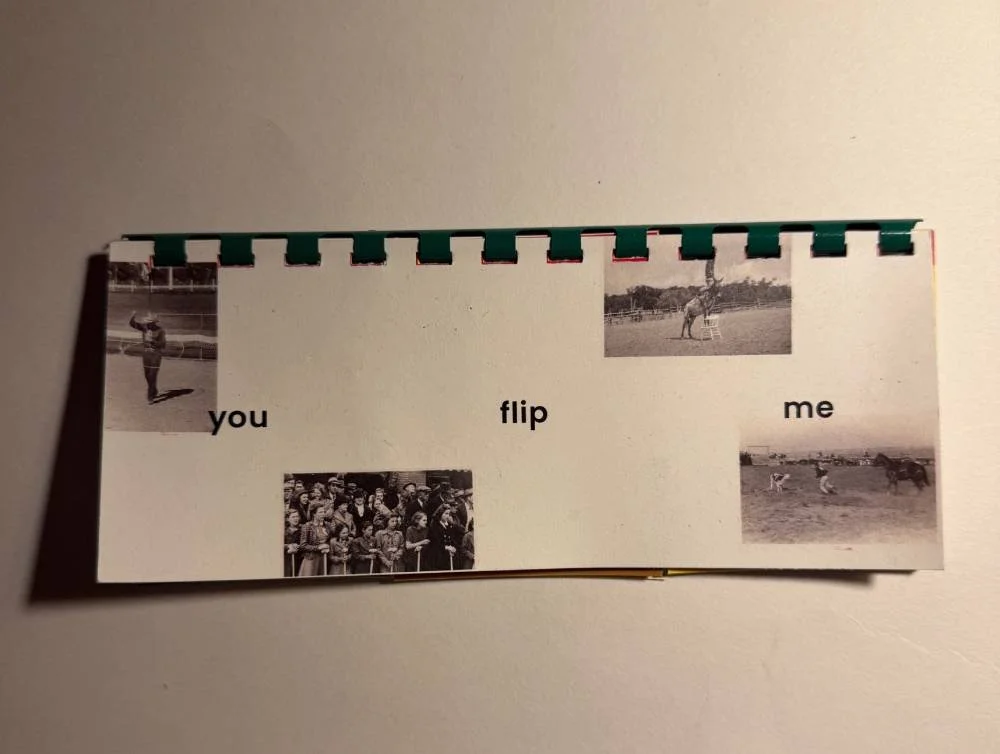 flipbook cover.jpg