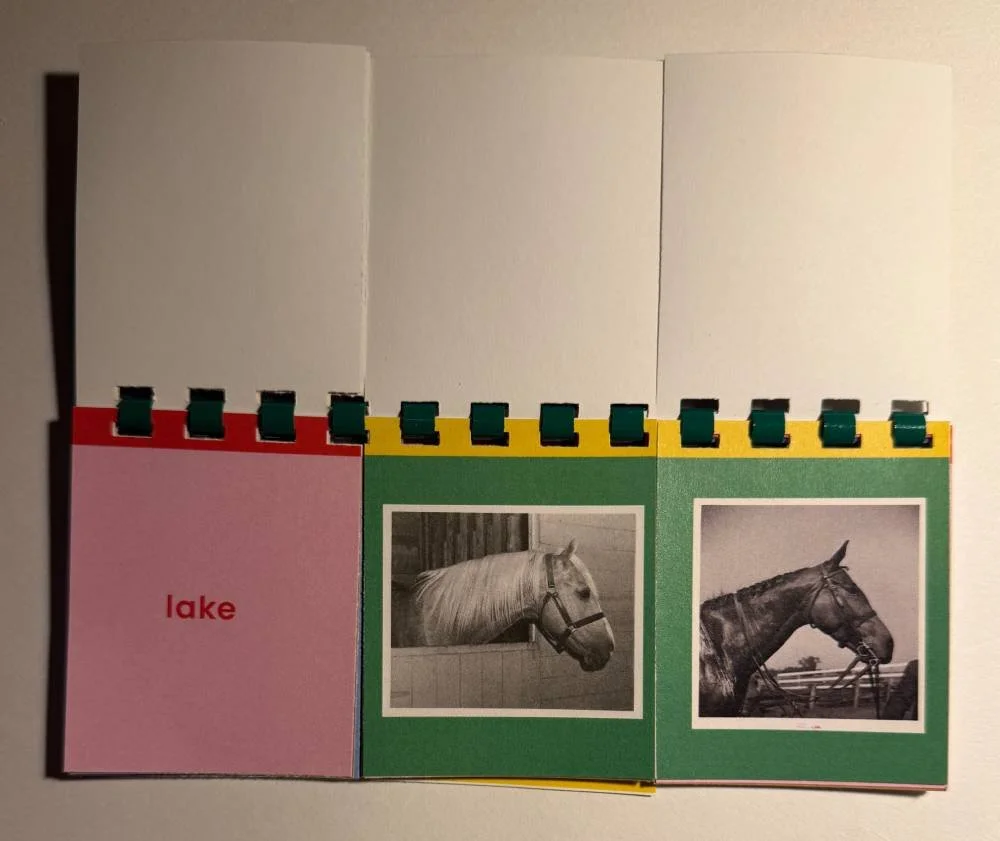 flipbook 3.jpg