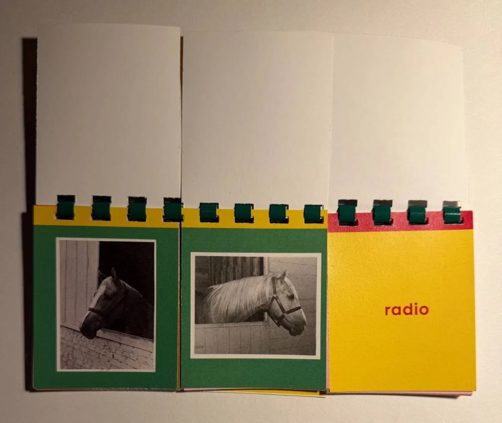 flipbook 5.jpg