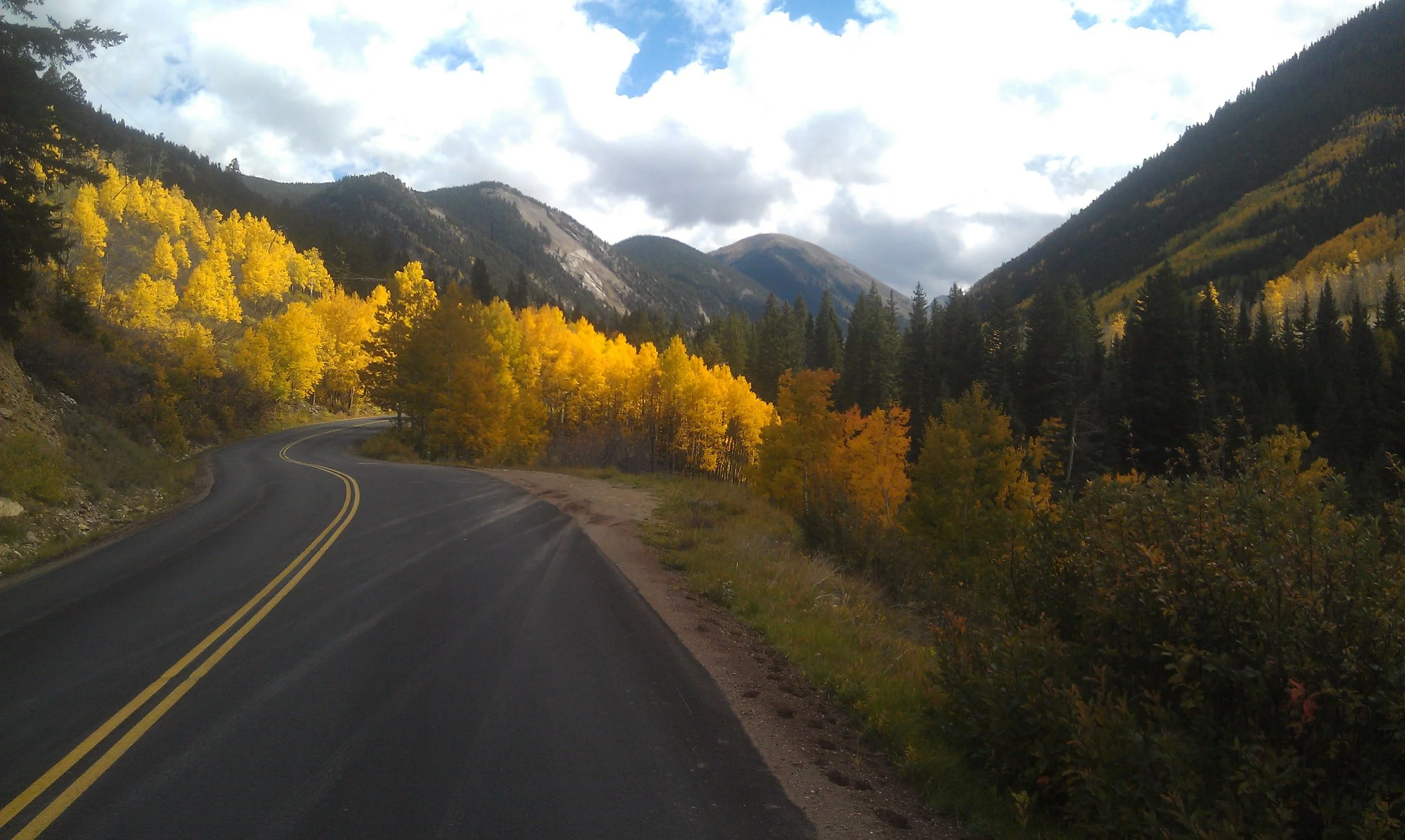 Aspen in the Autumn
