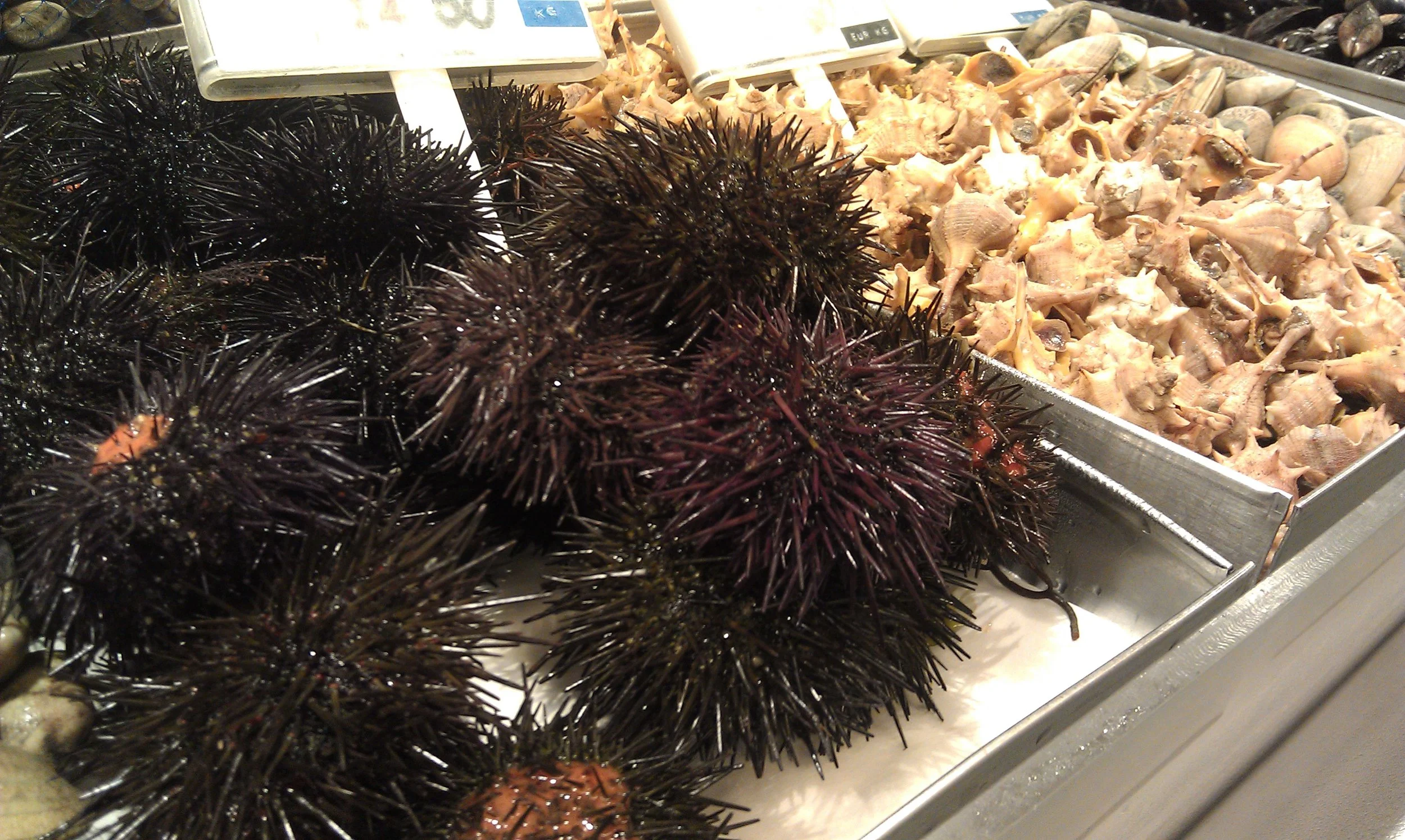 FOOD SPOTTING - Girona