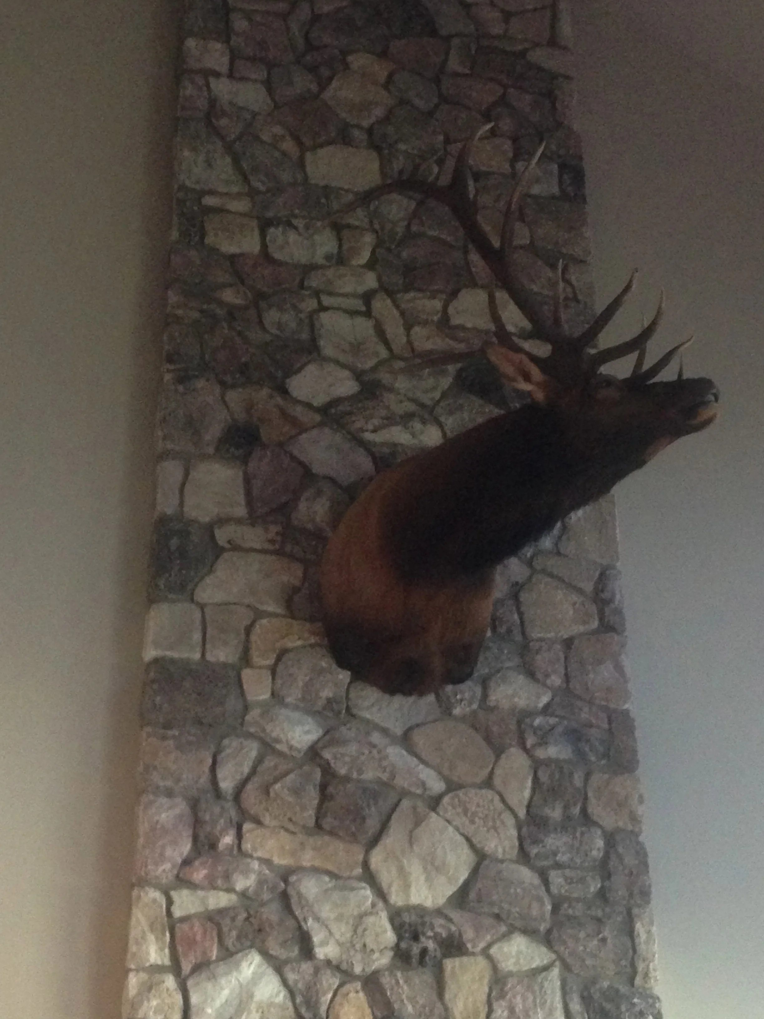 Toto, We're Not in Kansas Anymore