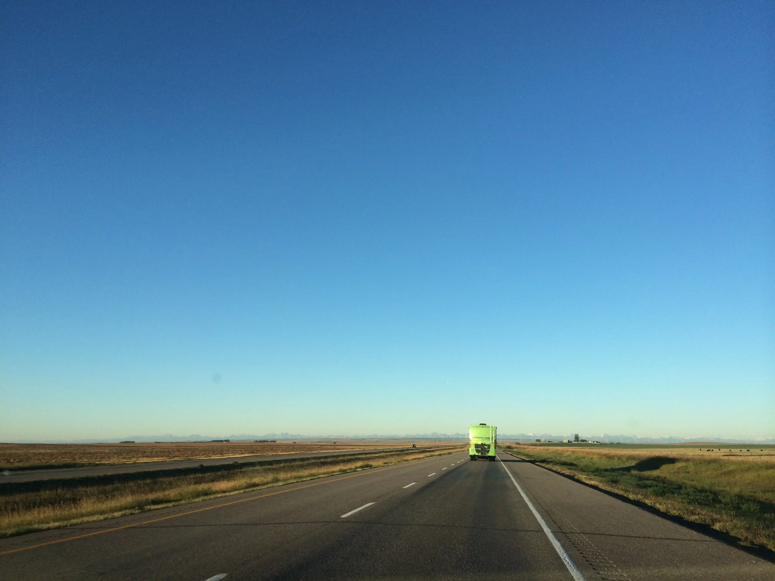 Tim Horton's and Neck pillows