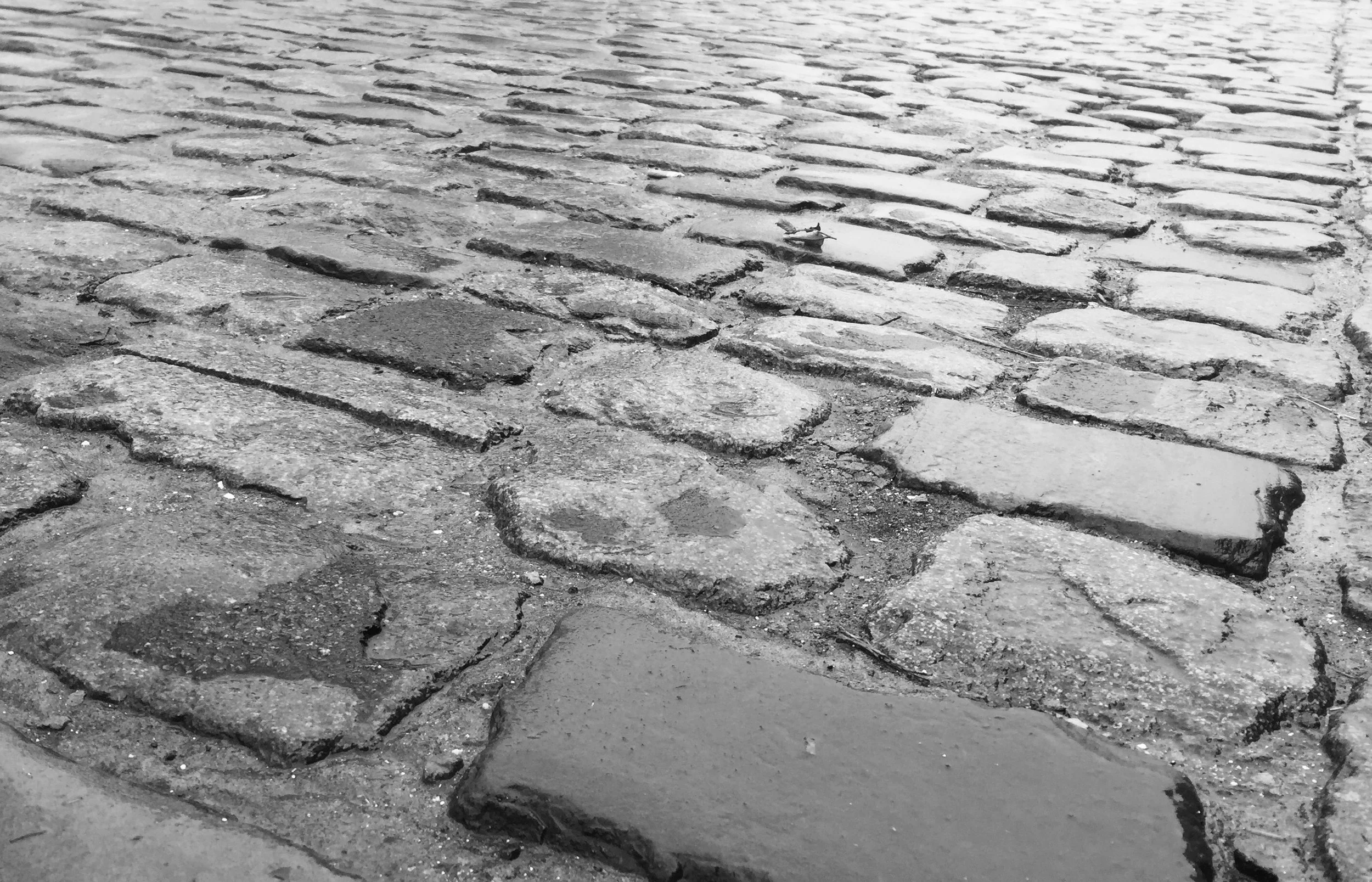 Not Just Another Sunday