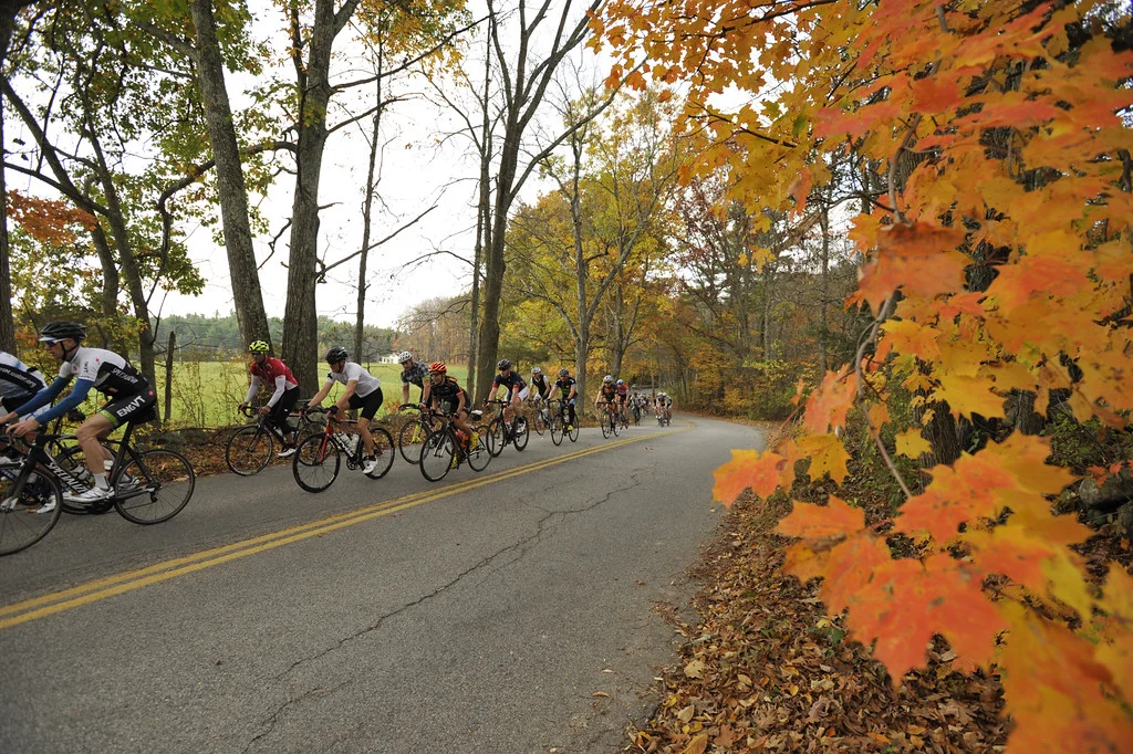 (Not Quite) Business As Usual