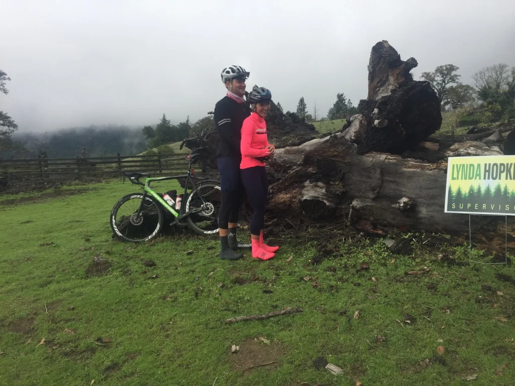 354 Days and Counting