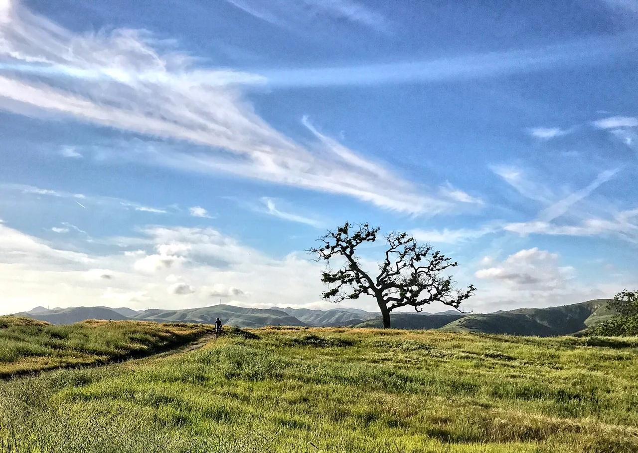 Overhead Group Selfies with Corresponding Hand Gestures