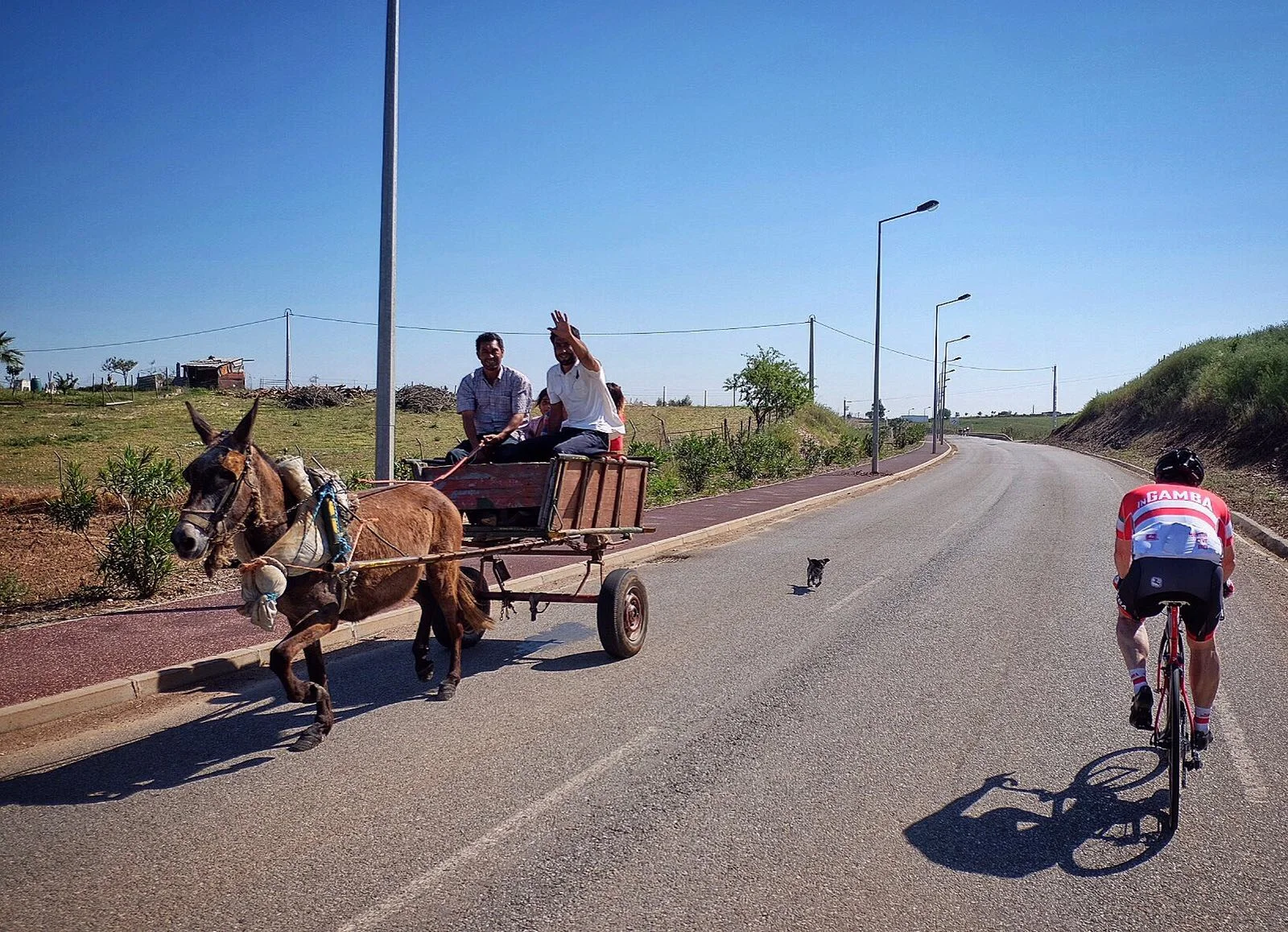 The Professional Touch