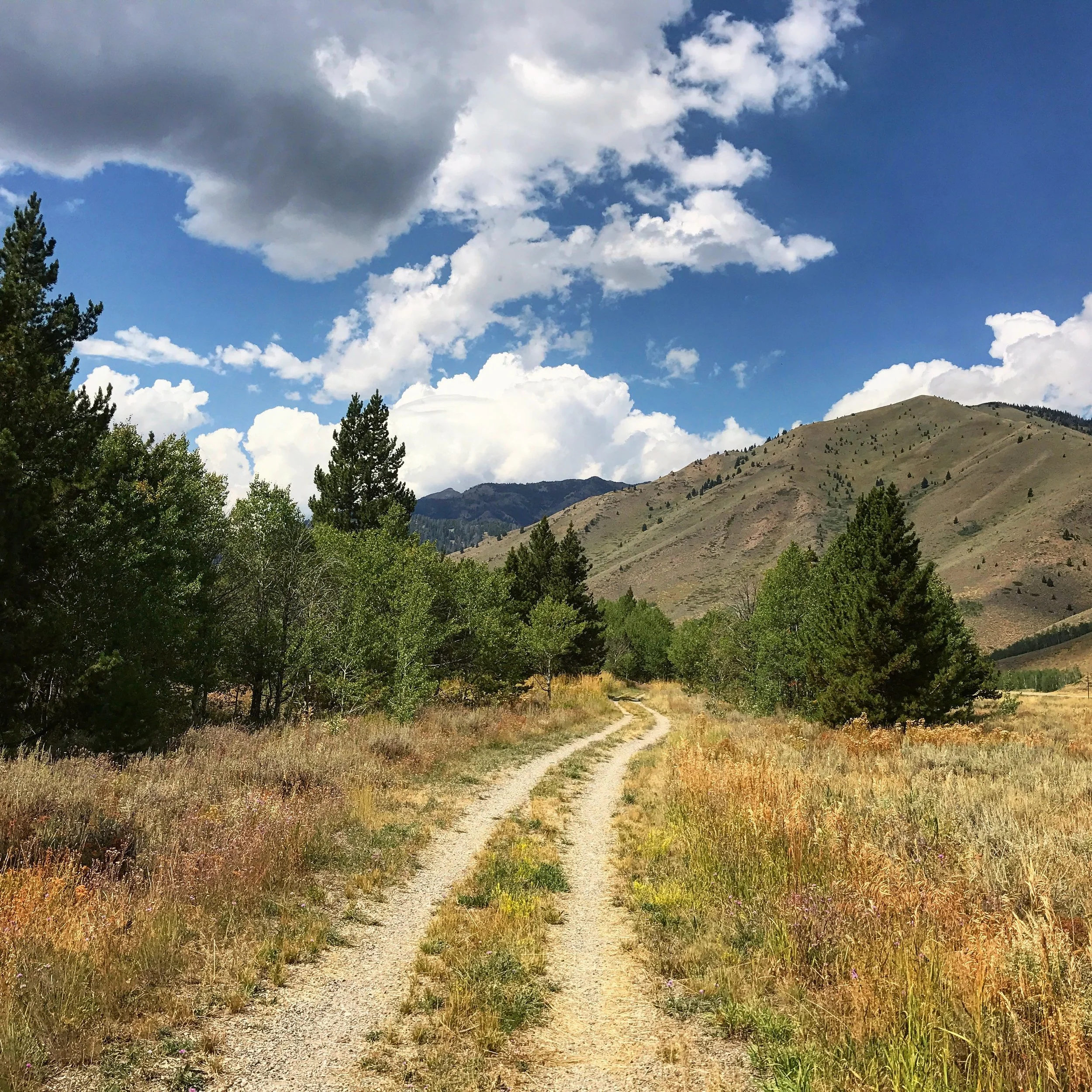 The Art of the Road Trip in Seven Only Slightly Convoluted Steps