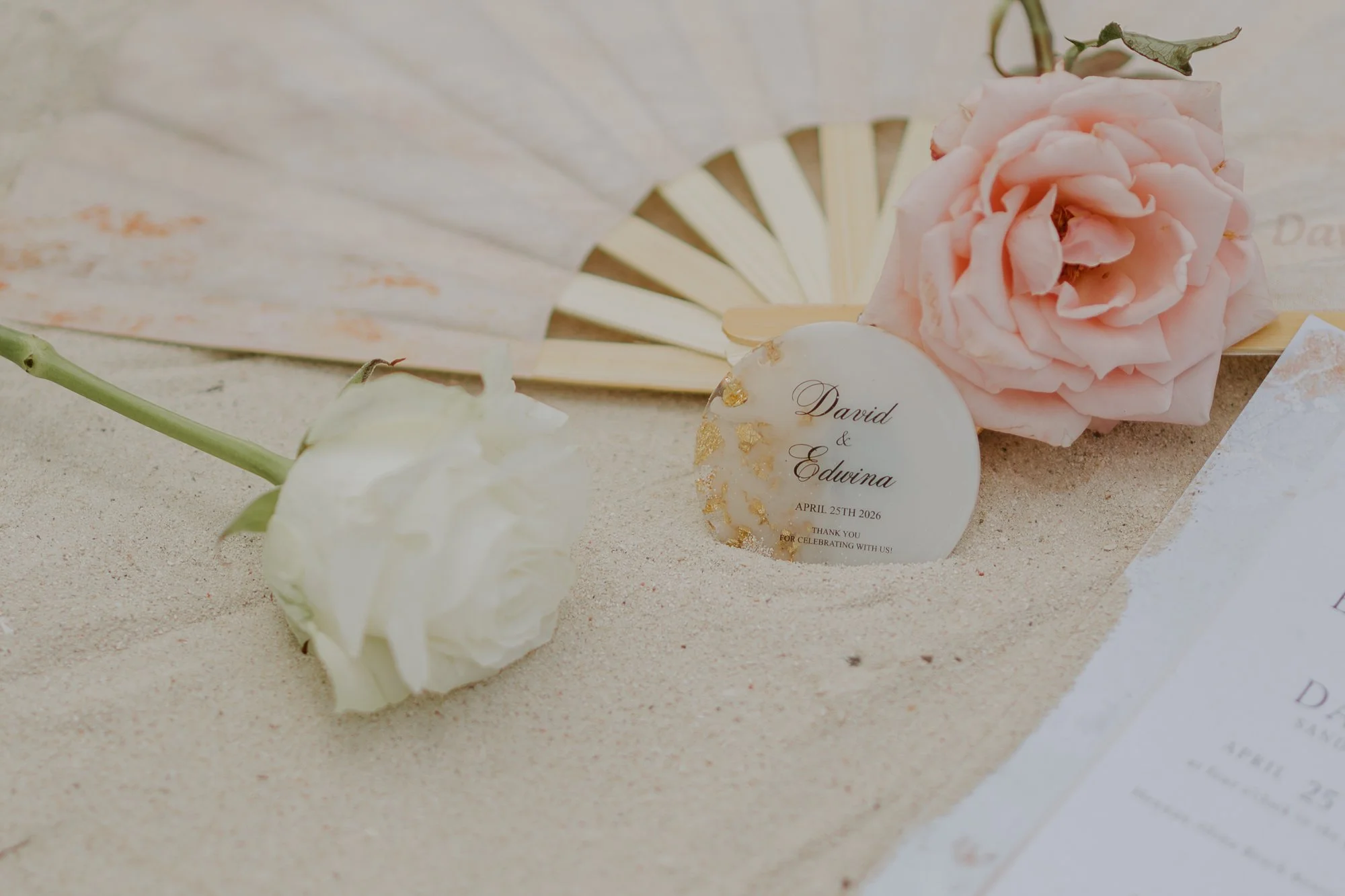 DSC_6484.jpg