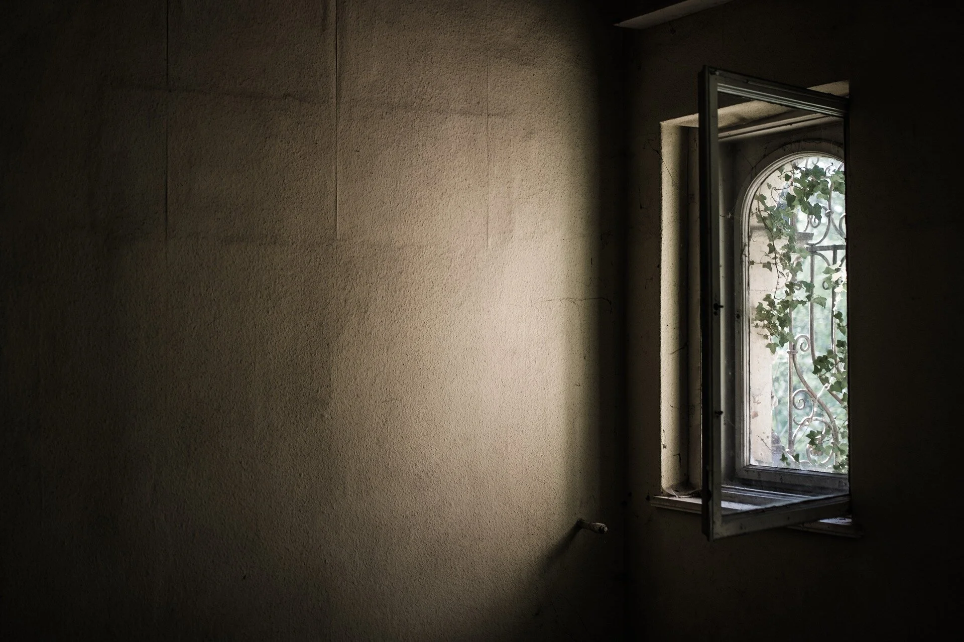 window-1533513_1920.jpg