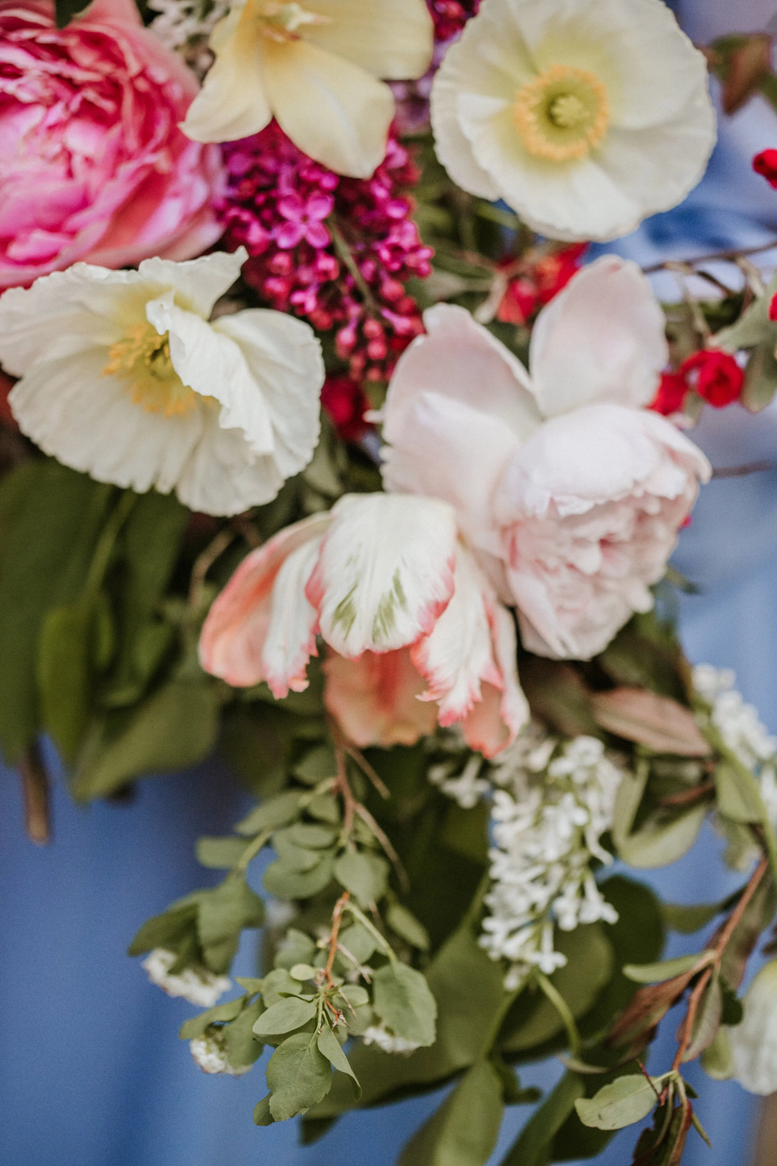 Testimonials Midcoast Blooms