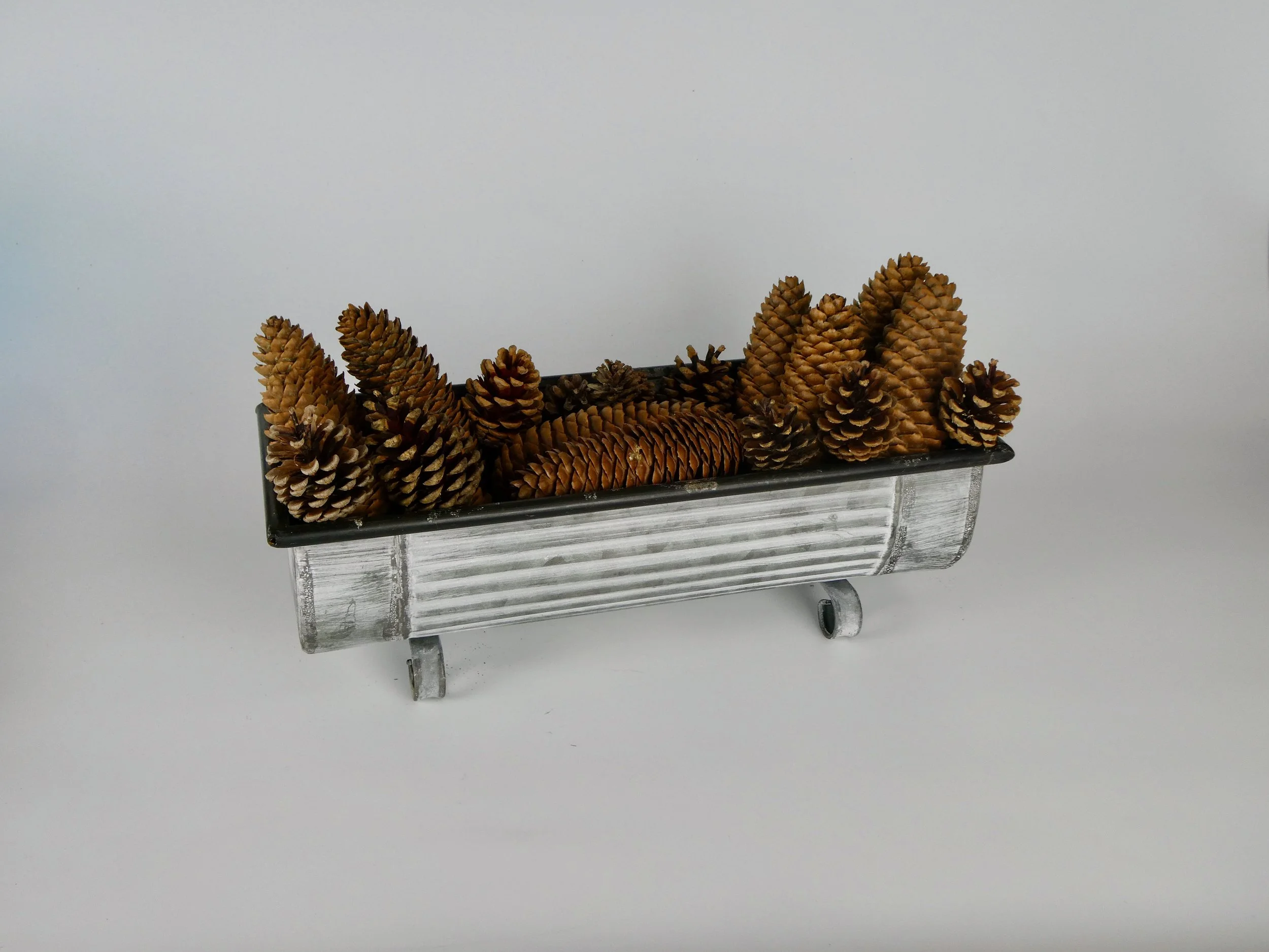 Pine &amp; Spruce Cone Assortment
