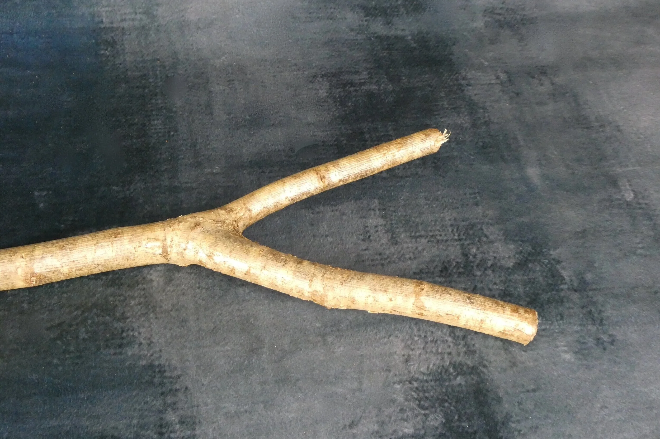 P1200425+%281%29.jpg