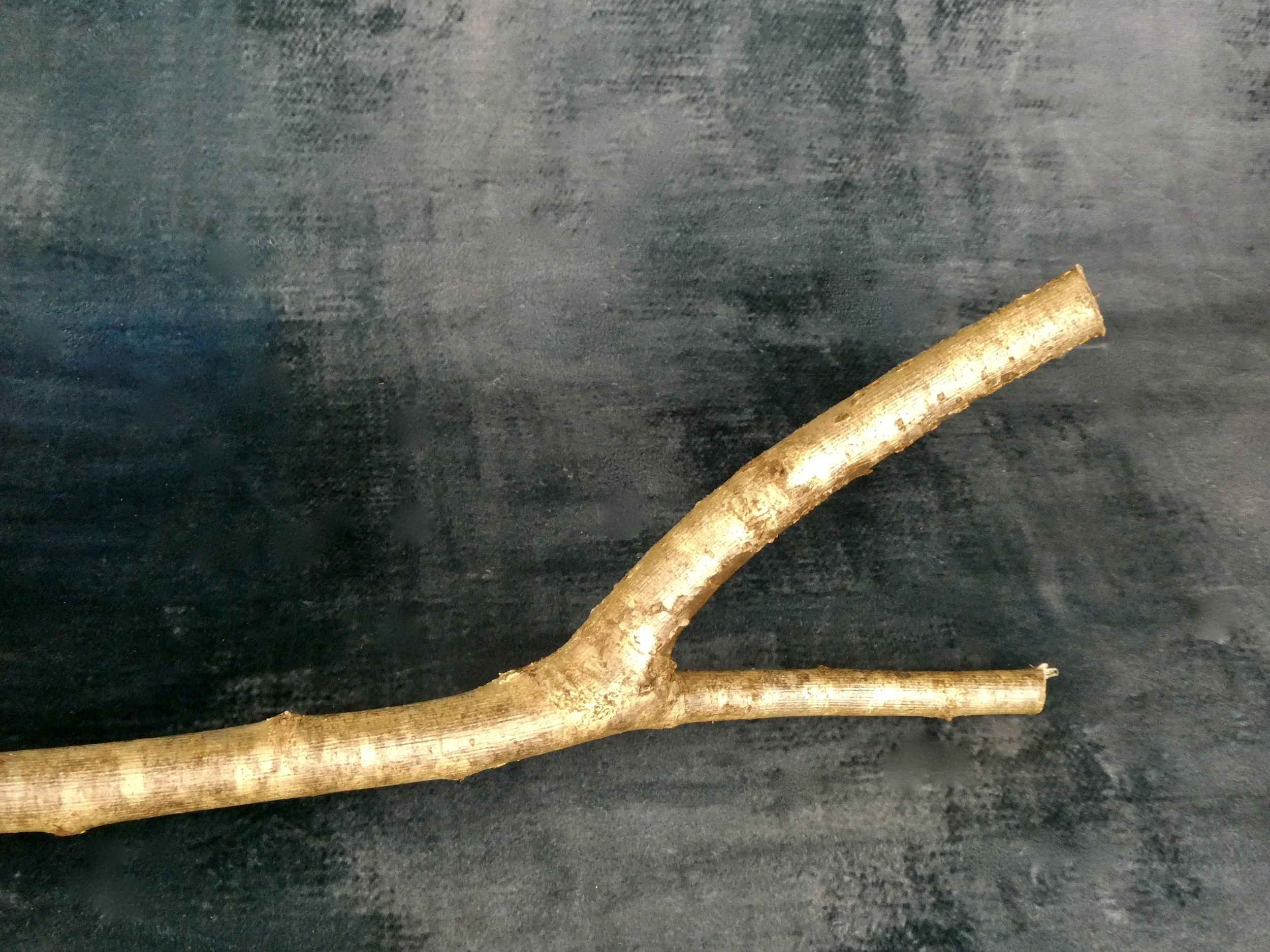 Hazel Thumb Stick 