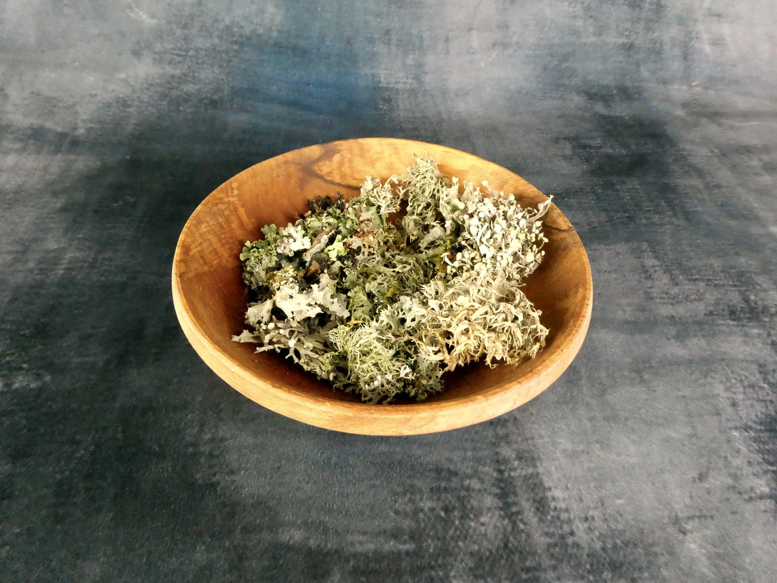 Lichen 