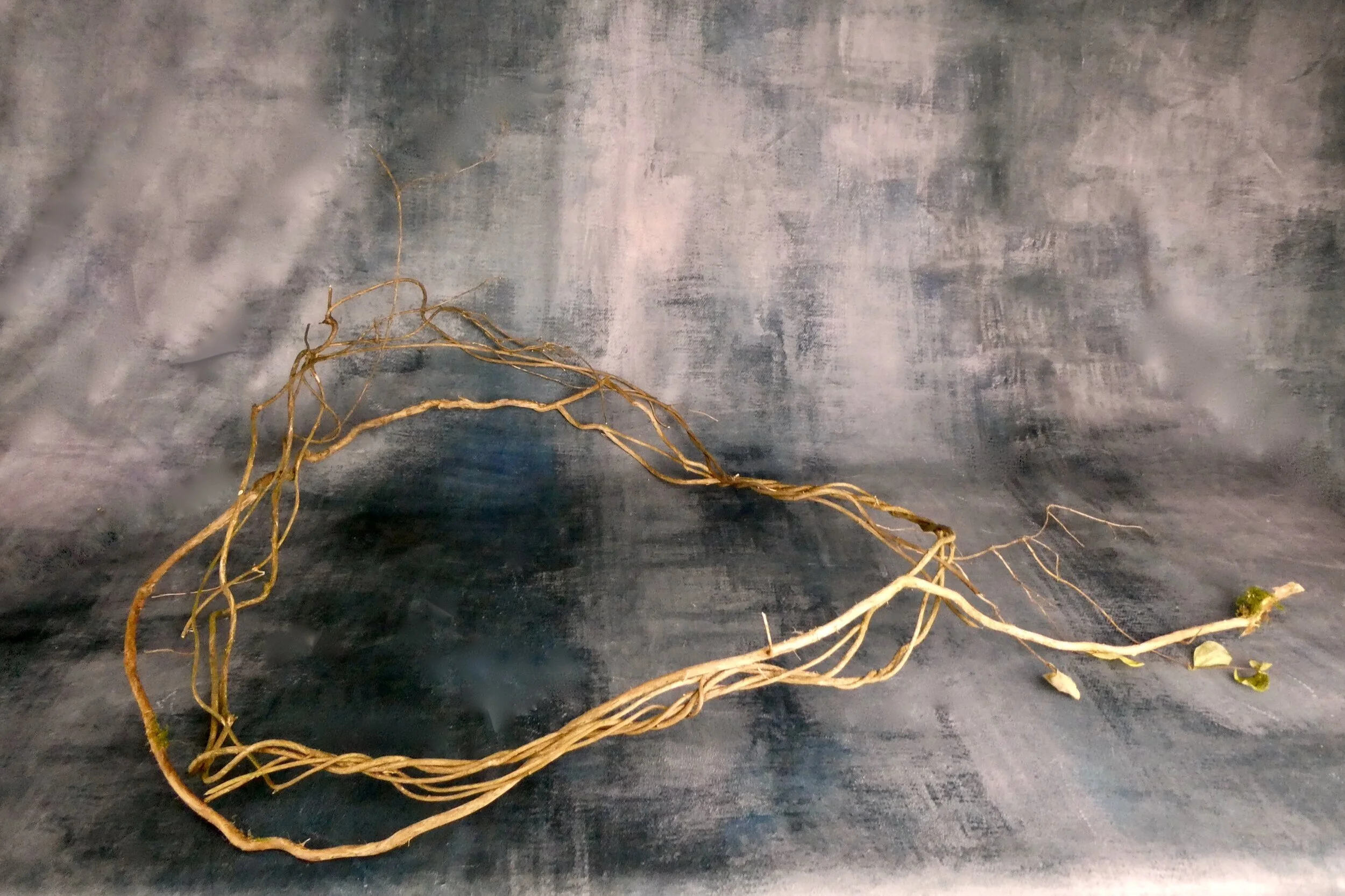 P1200516.jpg