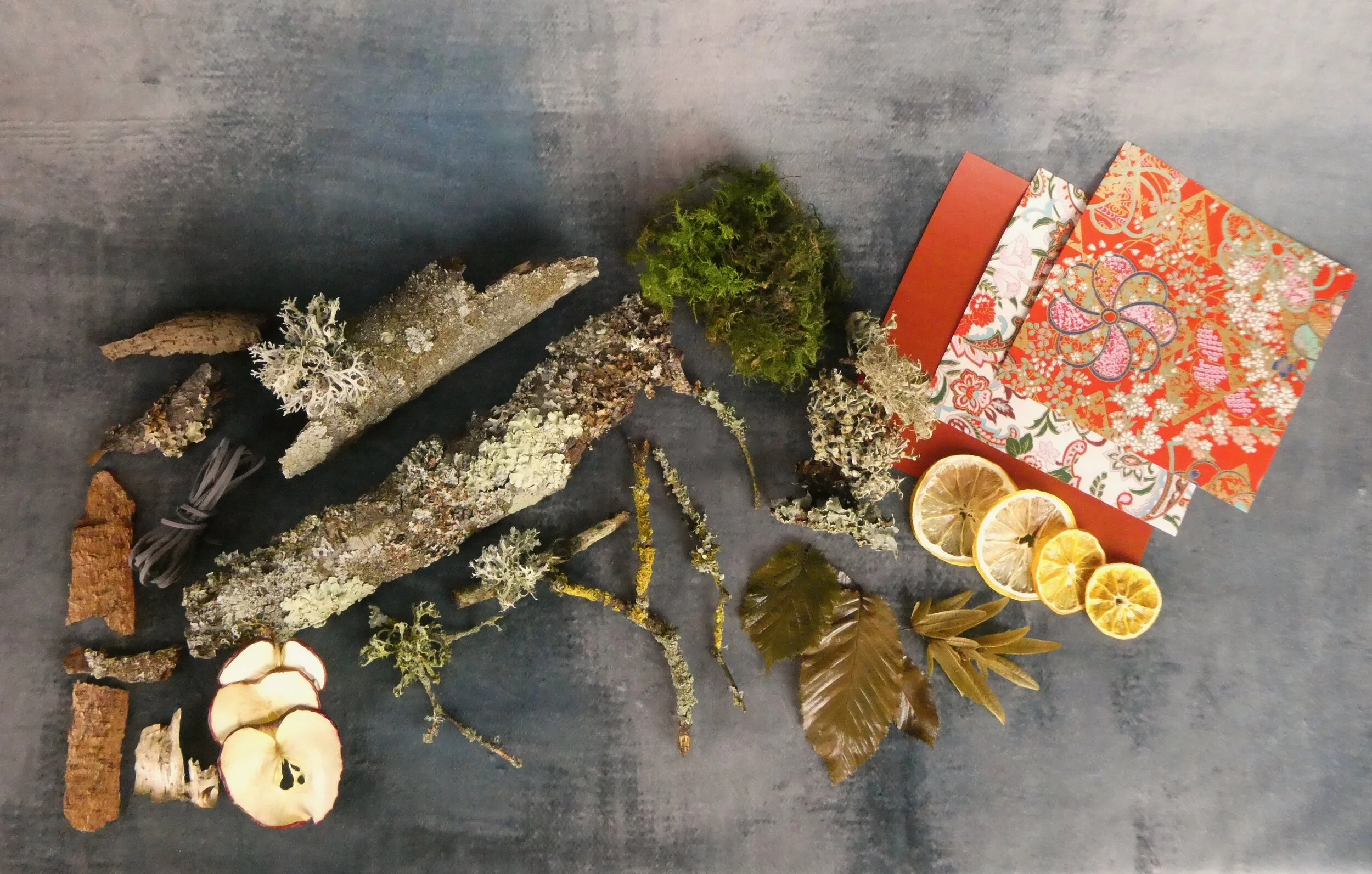 Hanging Air Plant Kit